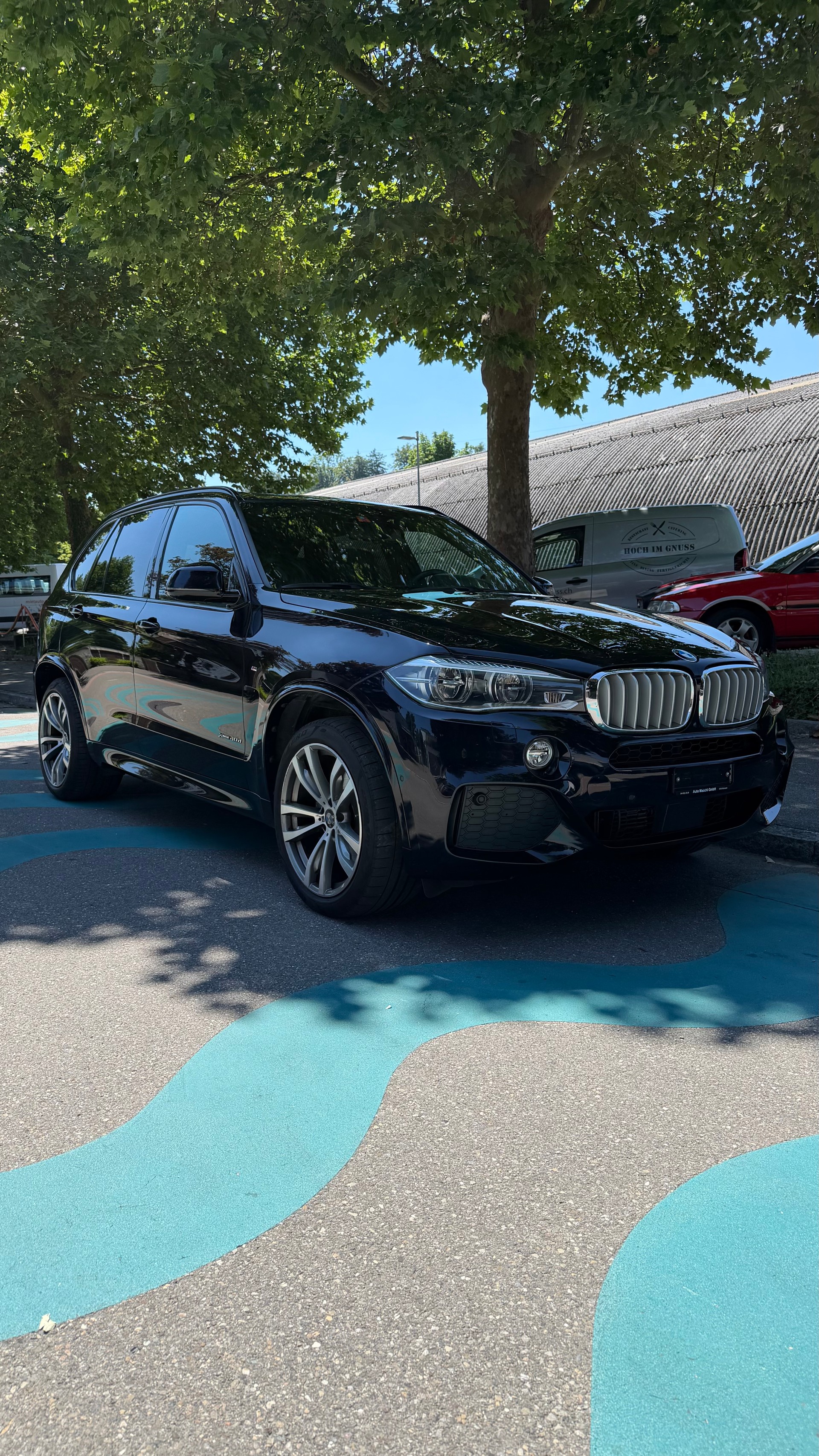 BMW X5 xDrive 40d Pure M Sport Steptronic-showroom-element-2