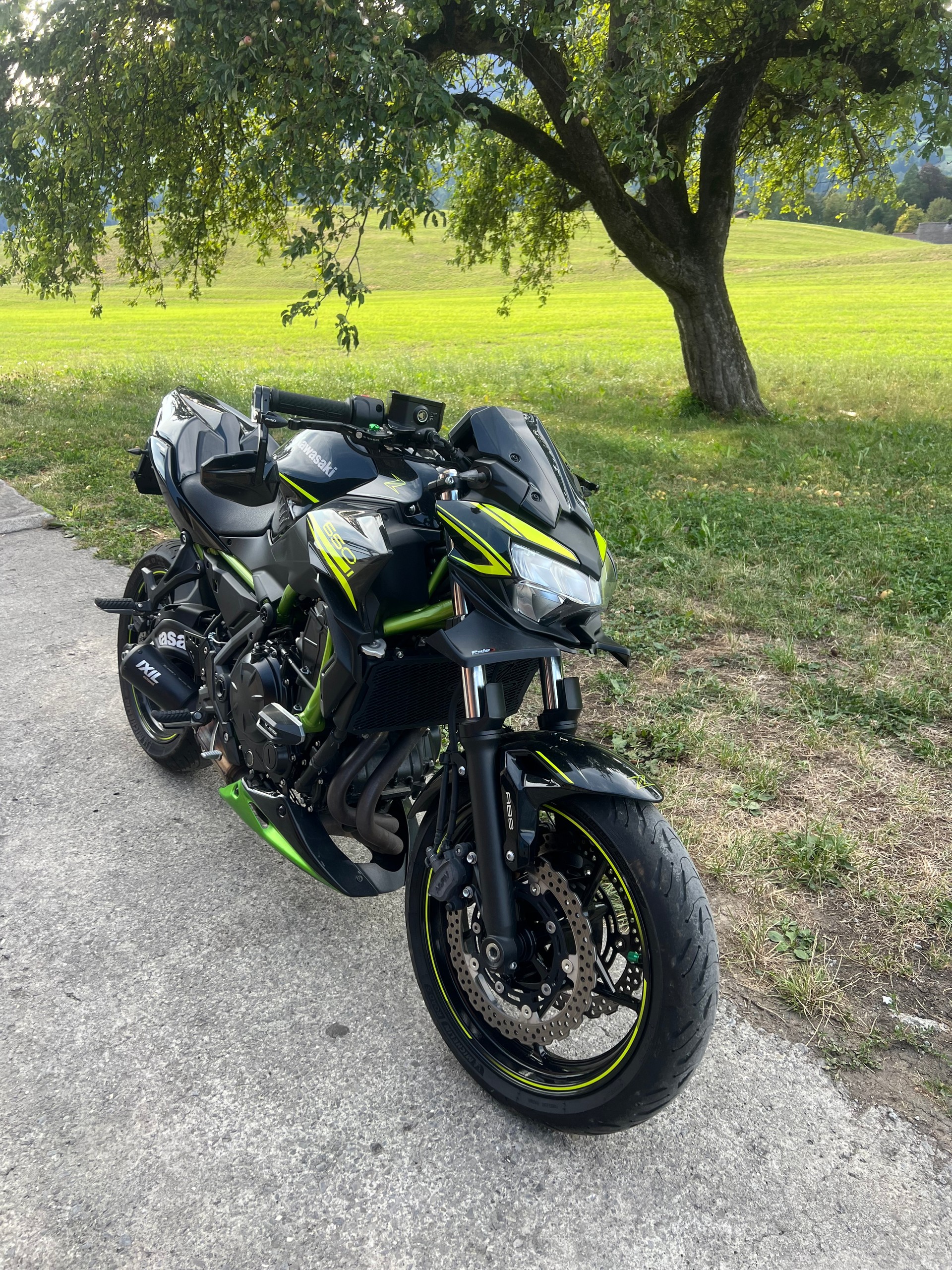 KAWASAKI Z 650 (35kW)-image-2