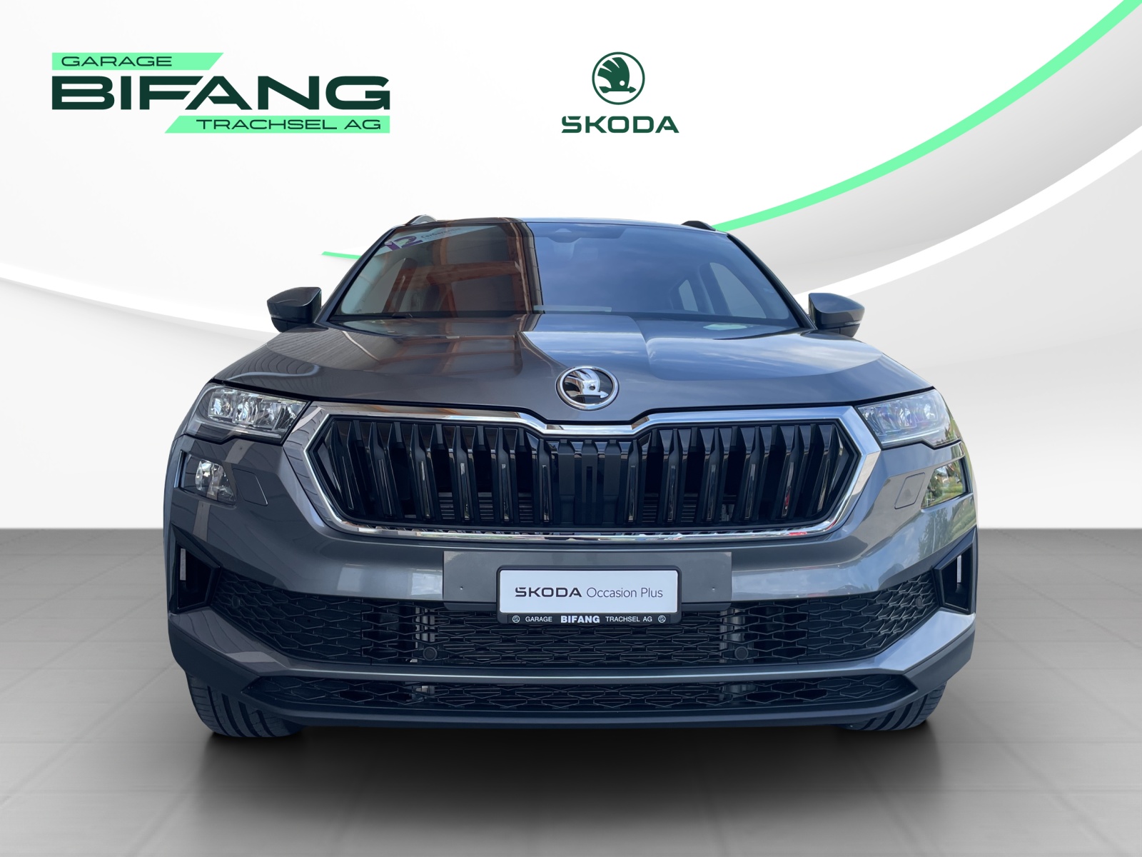 SKODA Karoq 2.0 TDI CR Selection 4x4 DSG-showroom-element-1