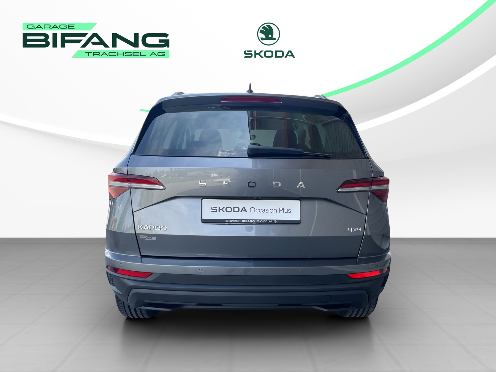 SKODA Karoq 2.0 TDI CR Selection 4x4 DSG-image-4