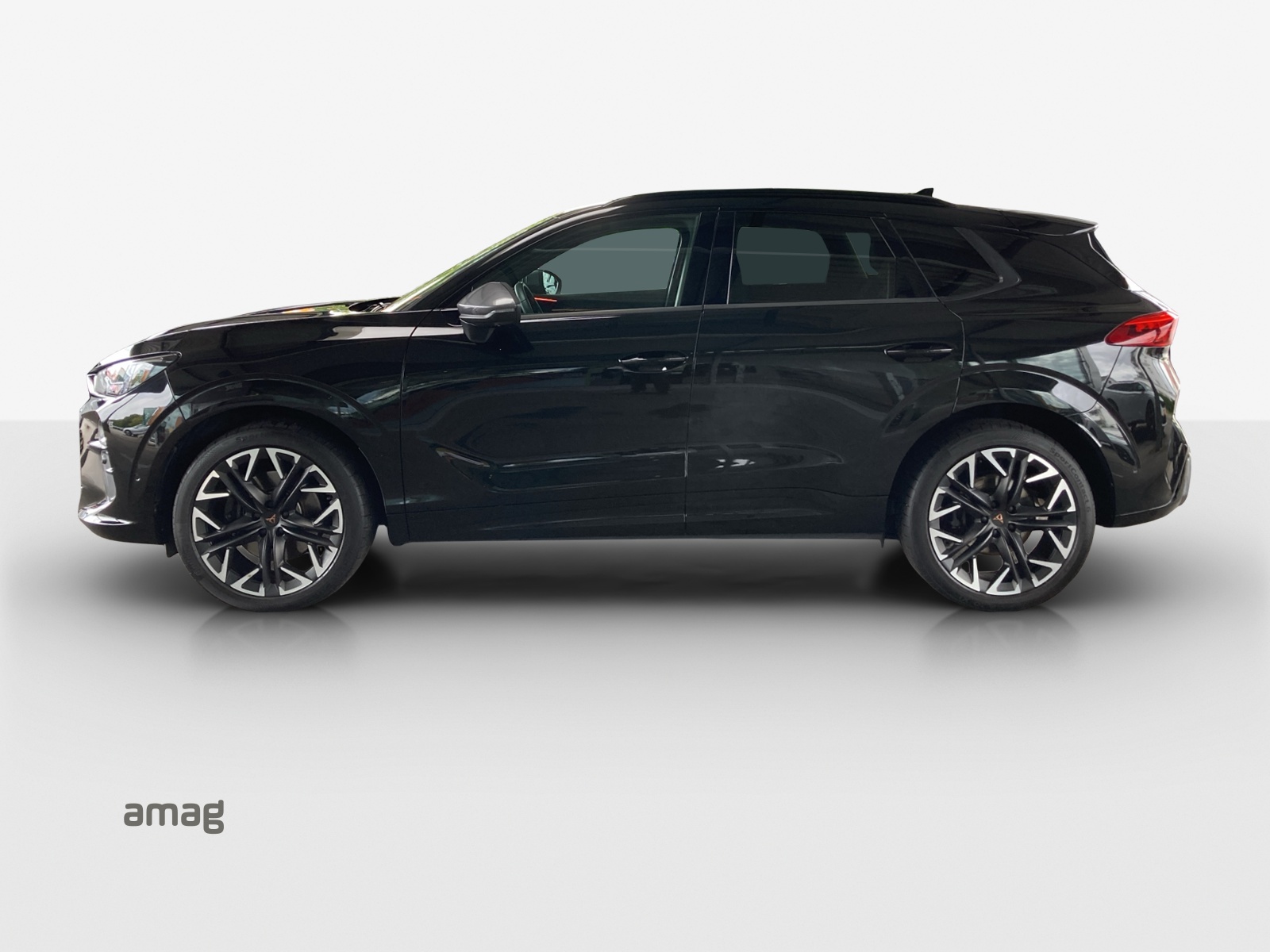 CUPRA Terramar 2.0 TSI DSG 4Drive VZ-image-1