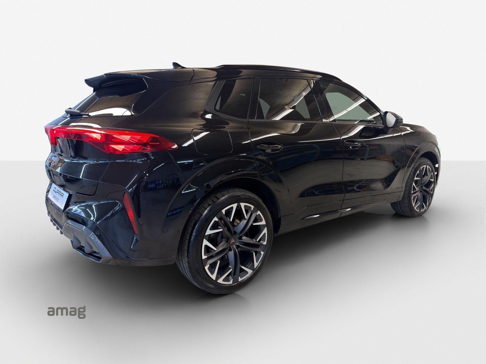 CUPRA Terramar 2.0 TSI DSG 4Drive VZ-image-4