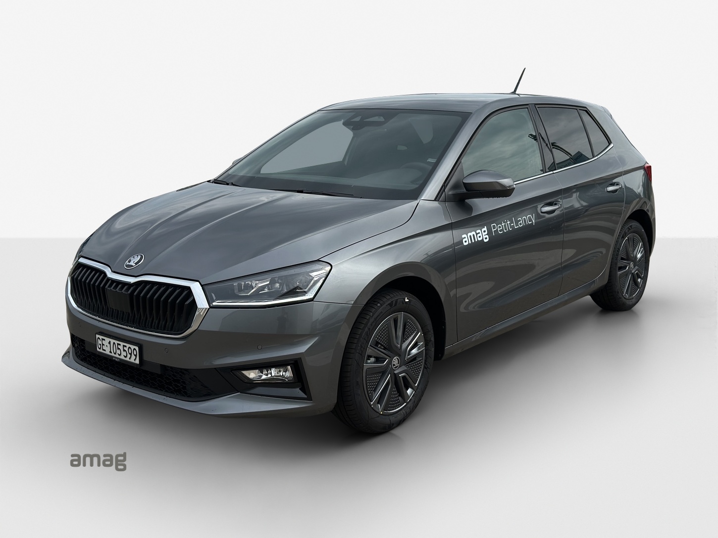 SKODA Fabia 1.0 TSI Dynamic DSG-image-0