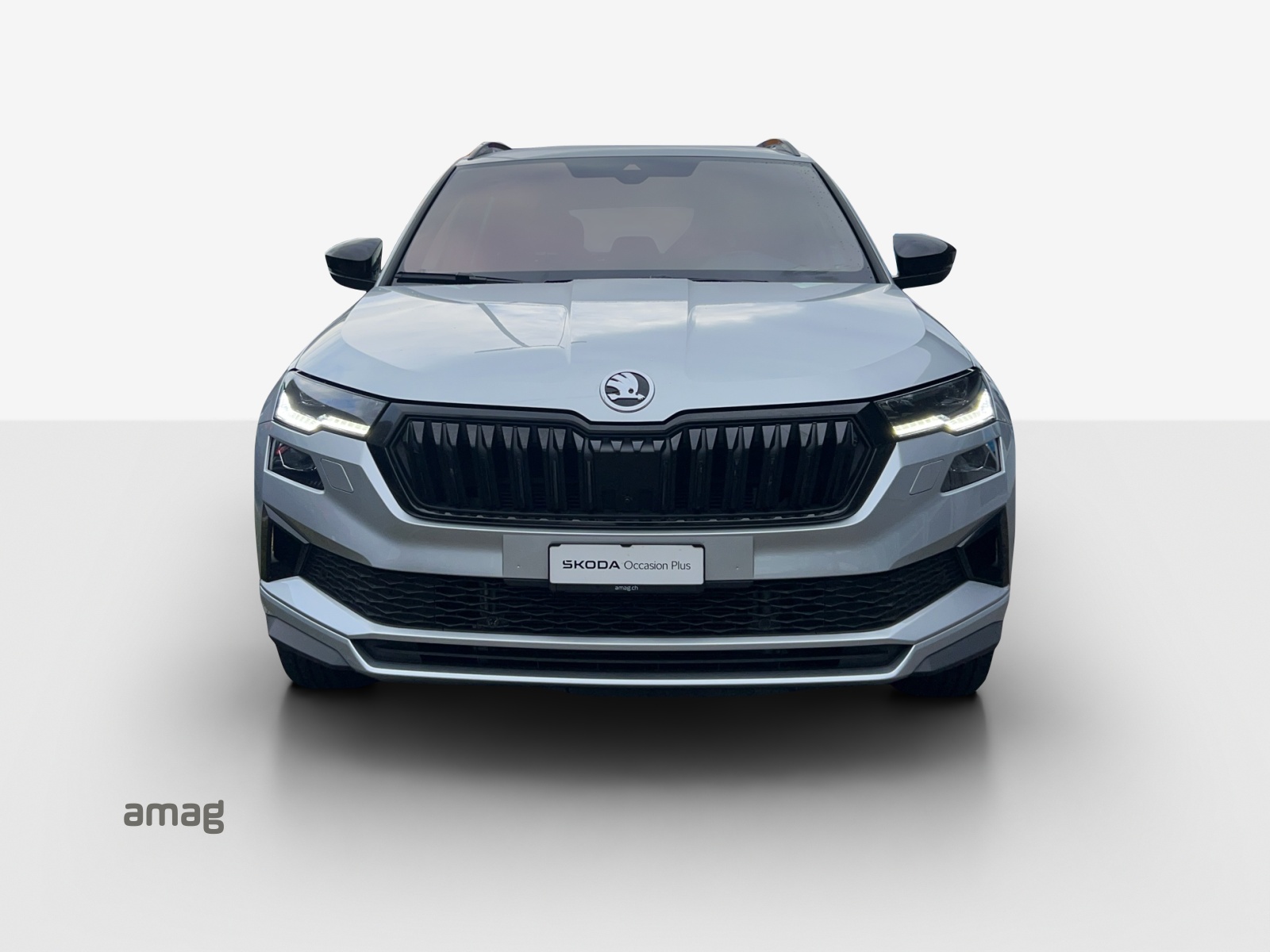 SKODA Karoq 1.5 TSI SportLine DSG-image-6