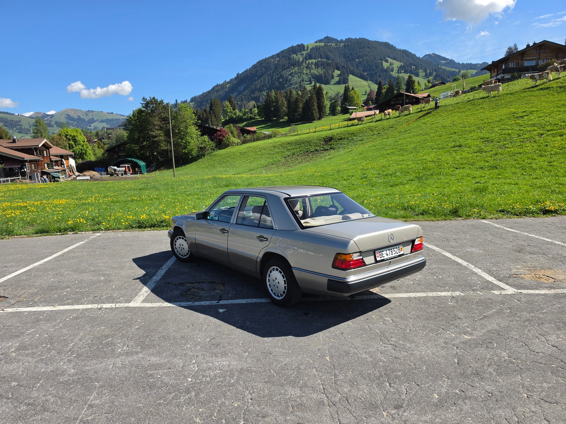 MERCEDES-BENZ 250D W124-image-9