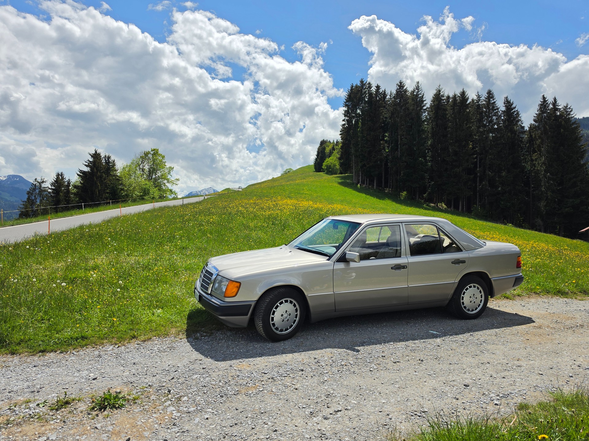 MERCEDES-BENZ 250D W124-image-18