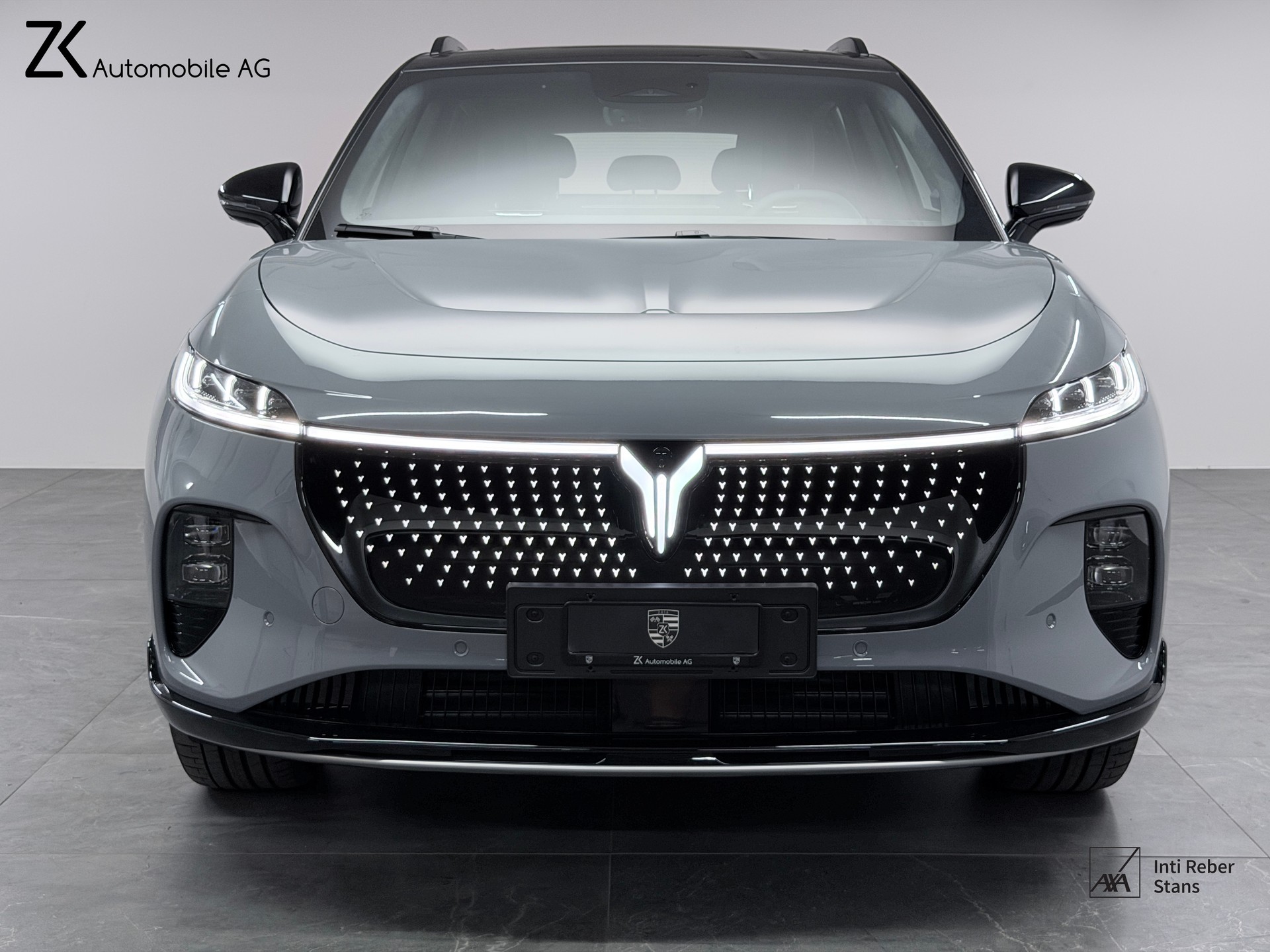 VOYAH VOYAH Courage 80 kWh 4WD 435PS Nebula Gray Metallic-showroom-element-3