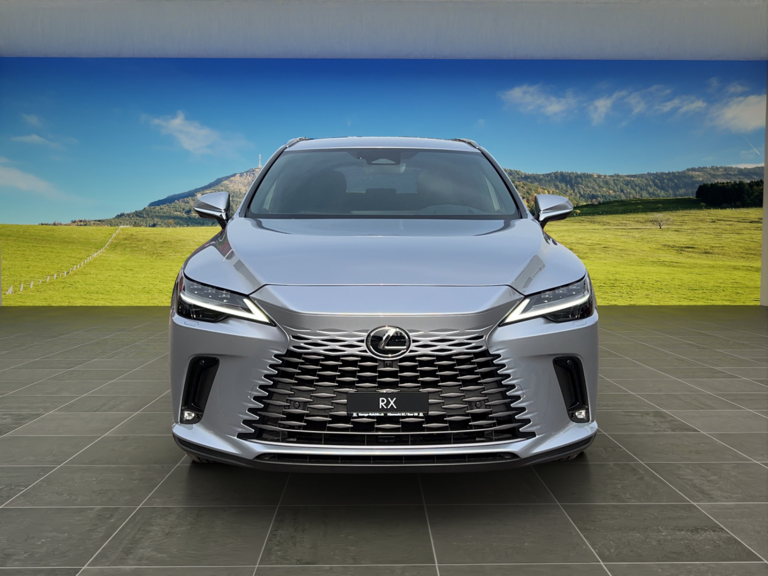 LEXUS RX 450h+ Comfort-image-7