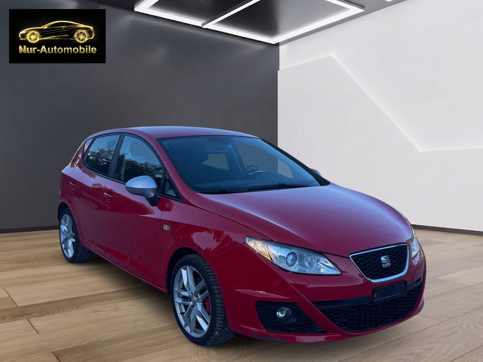 SEAT Ibiza 2.0 TDI FR-image-6