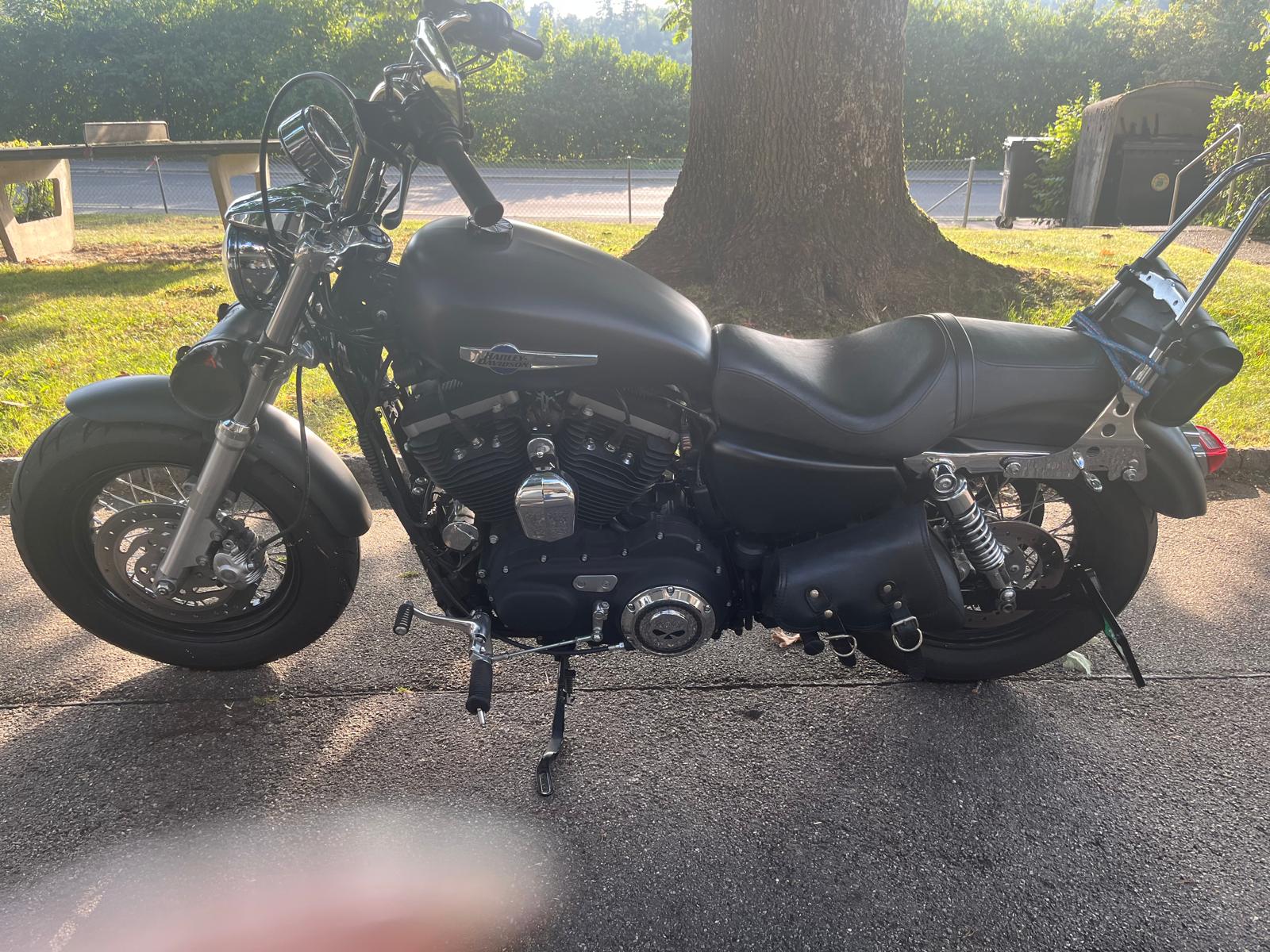 HARLEY-DAVIDSON XL 1200 CB Sportster Custom-image-1