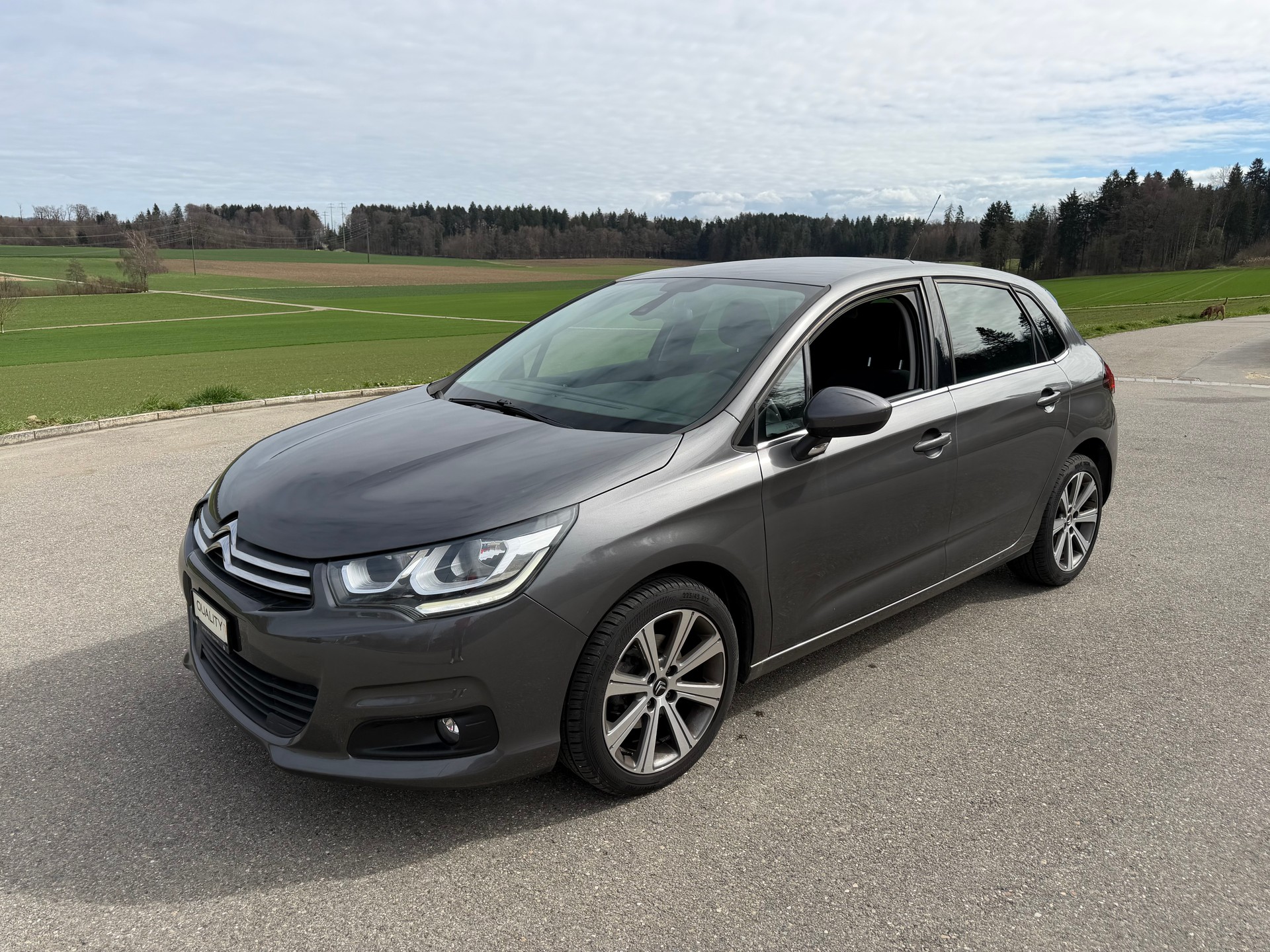 CITROEN C4 1.2 Pure Tech Feel Edition Automatic-image-0