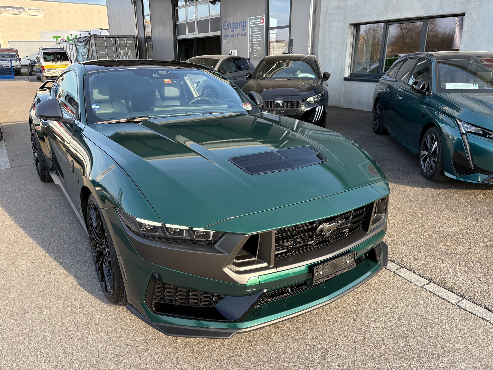 FORD Mustang Coupé 5.0 V8 Dark Horse-image-2