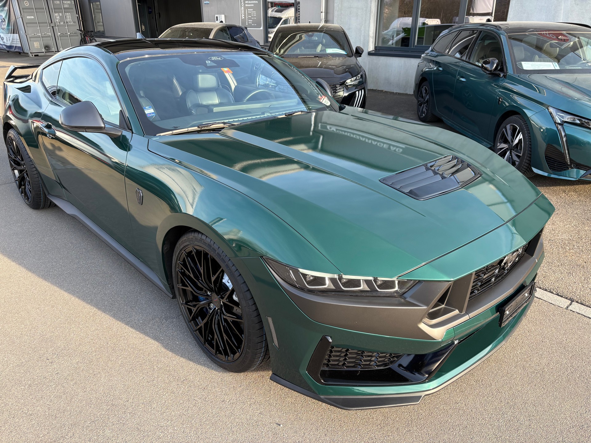 FORD Mustang Coupé 5.0 V8 Dark Horse-image-7