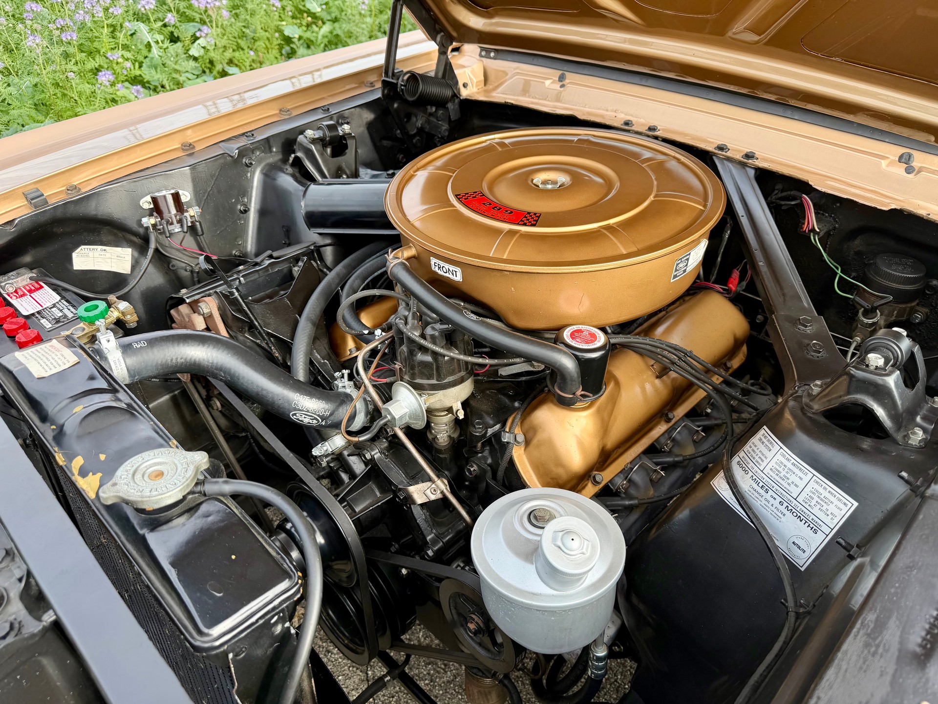 FORD MUSTANG-image-9
