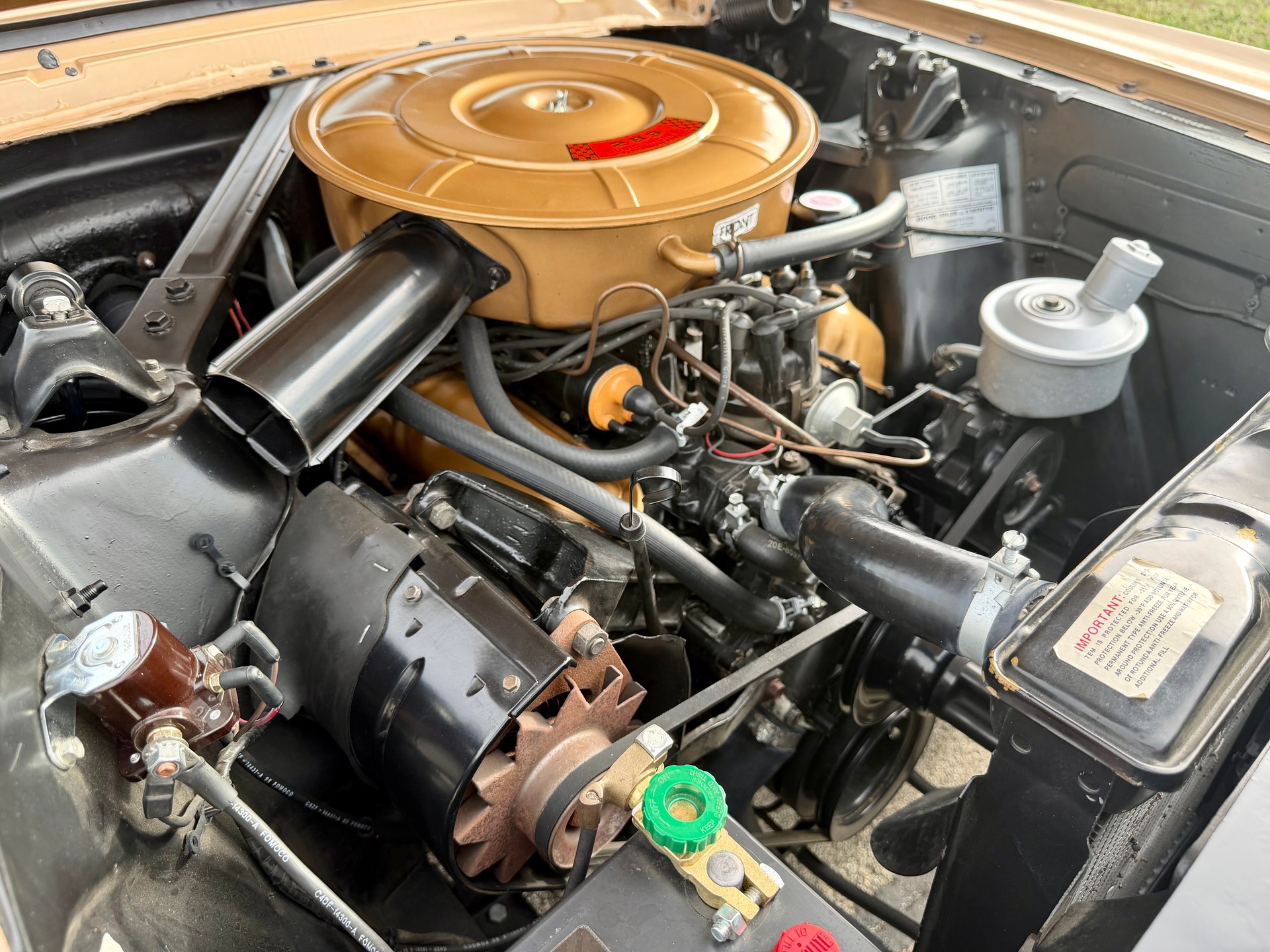 FORD MUSTANG-image-8