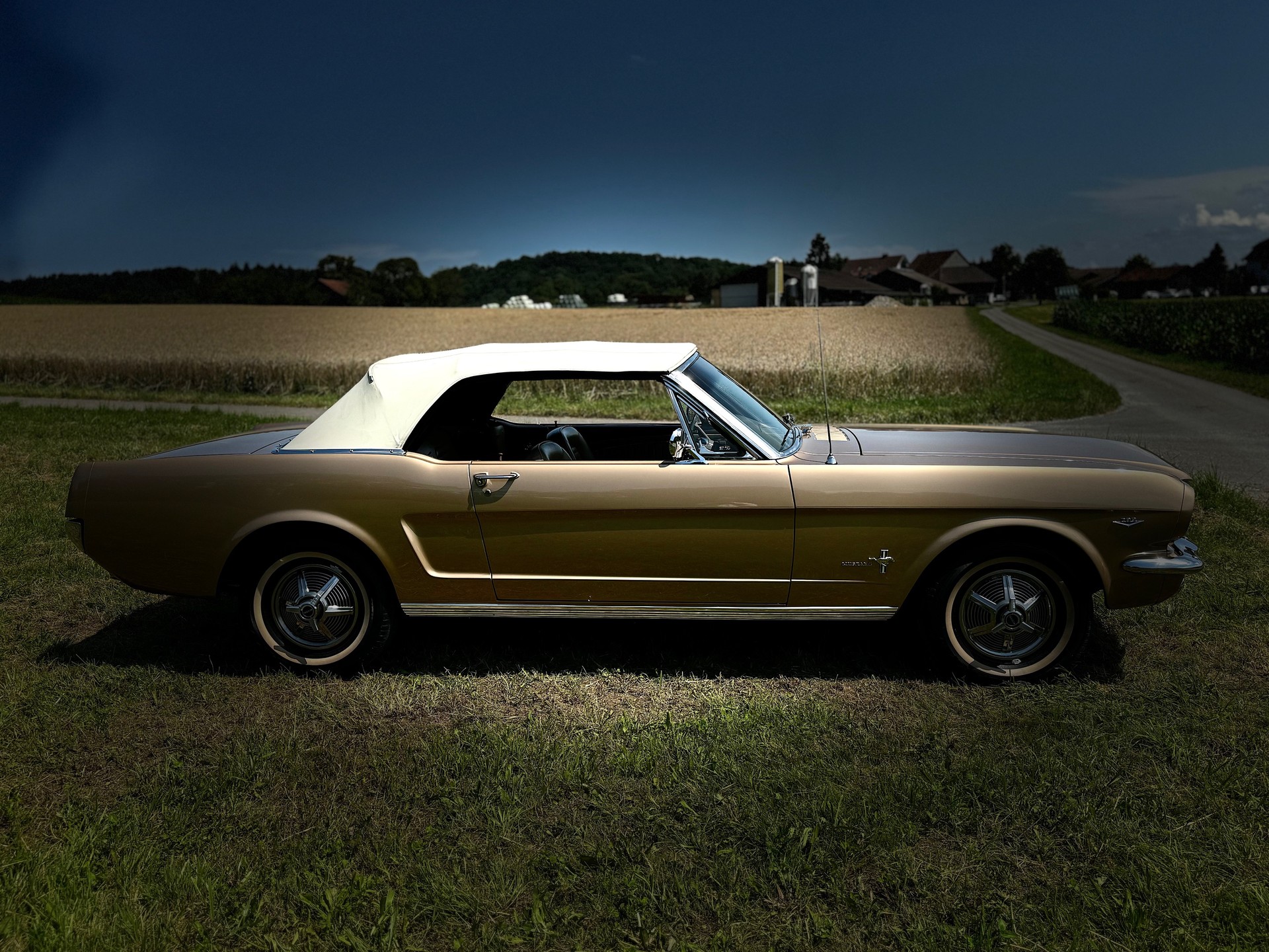 FORD MUSTANG-image-1