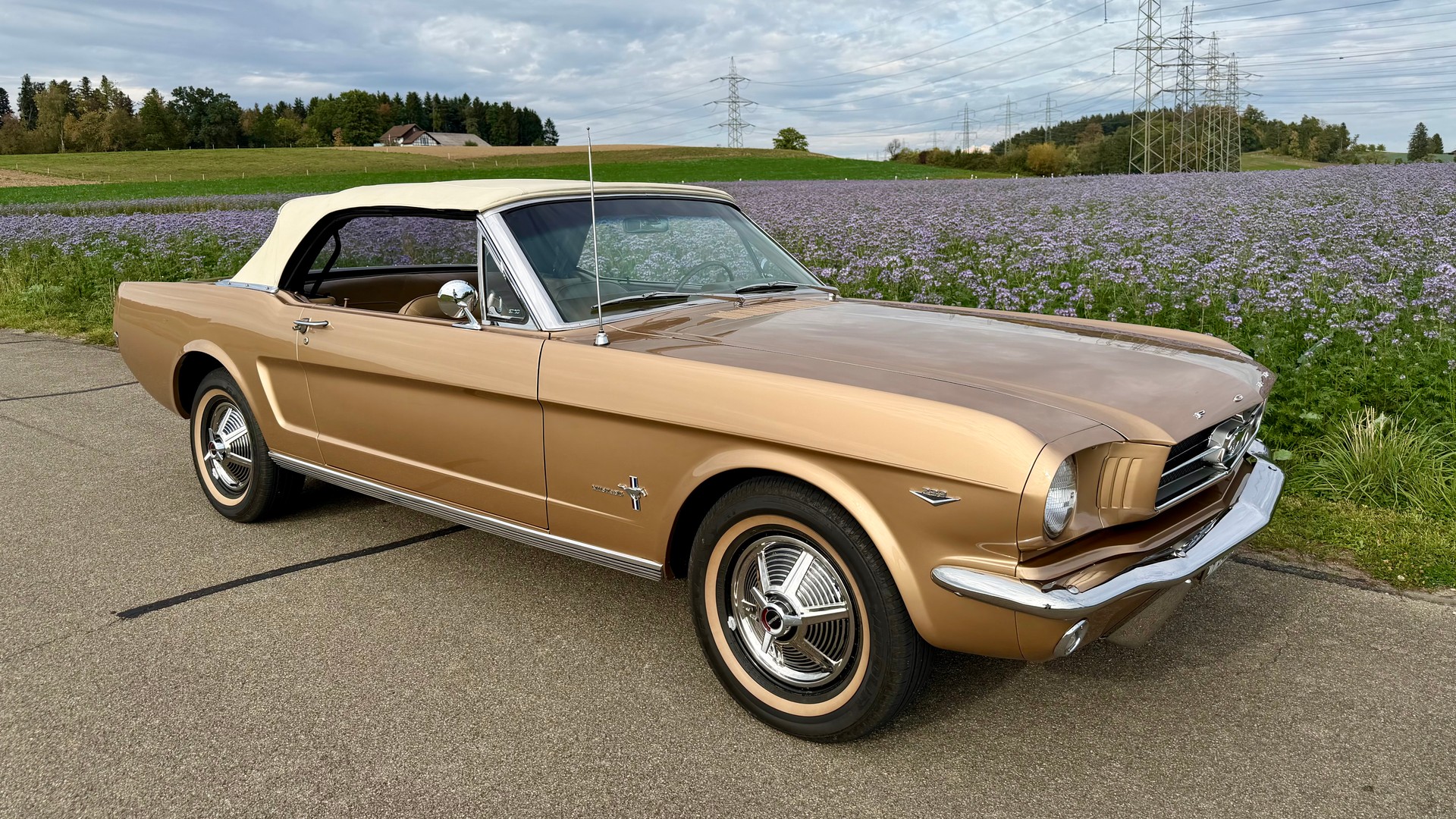 FORD MUSTANG-image-2