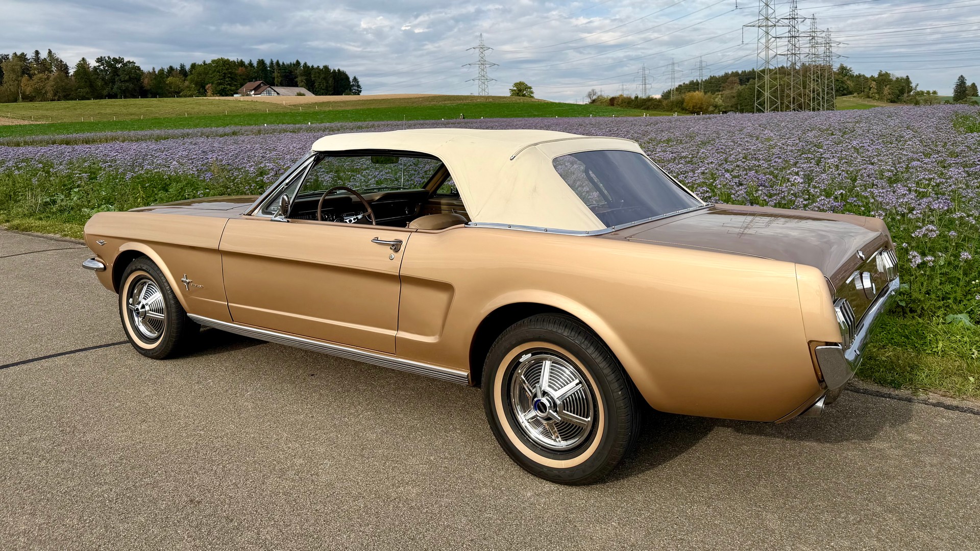 FORD MUSTANG-image-5