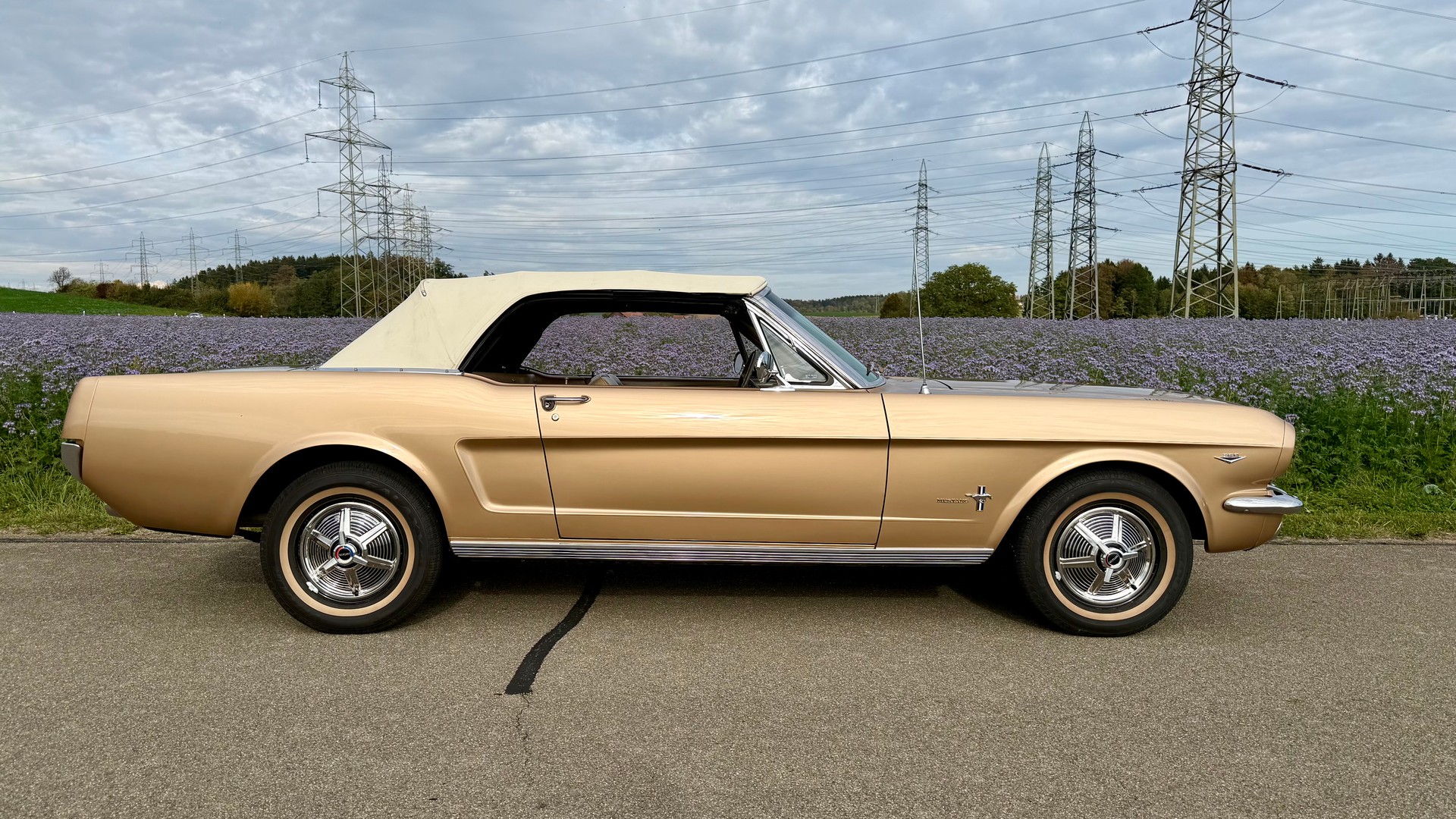 FORD MUSTANG-image-0