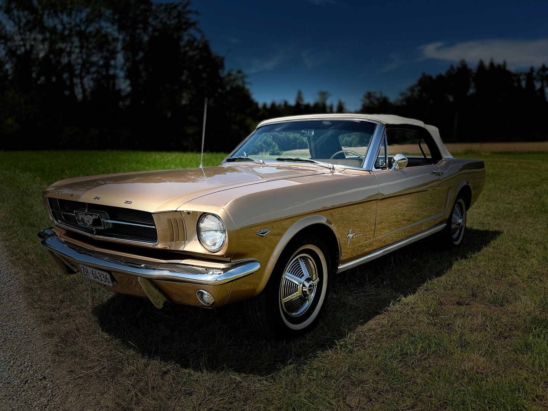 FORD MUSTANG-image-2