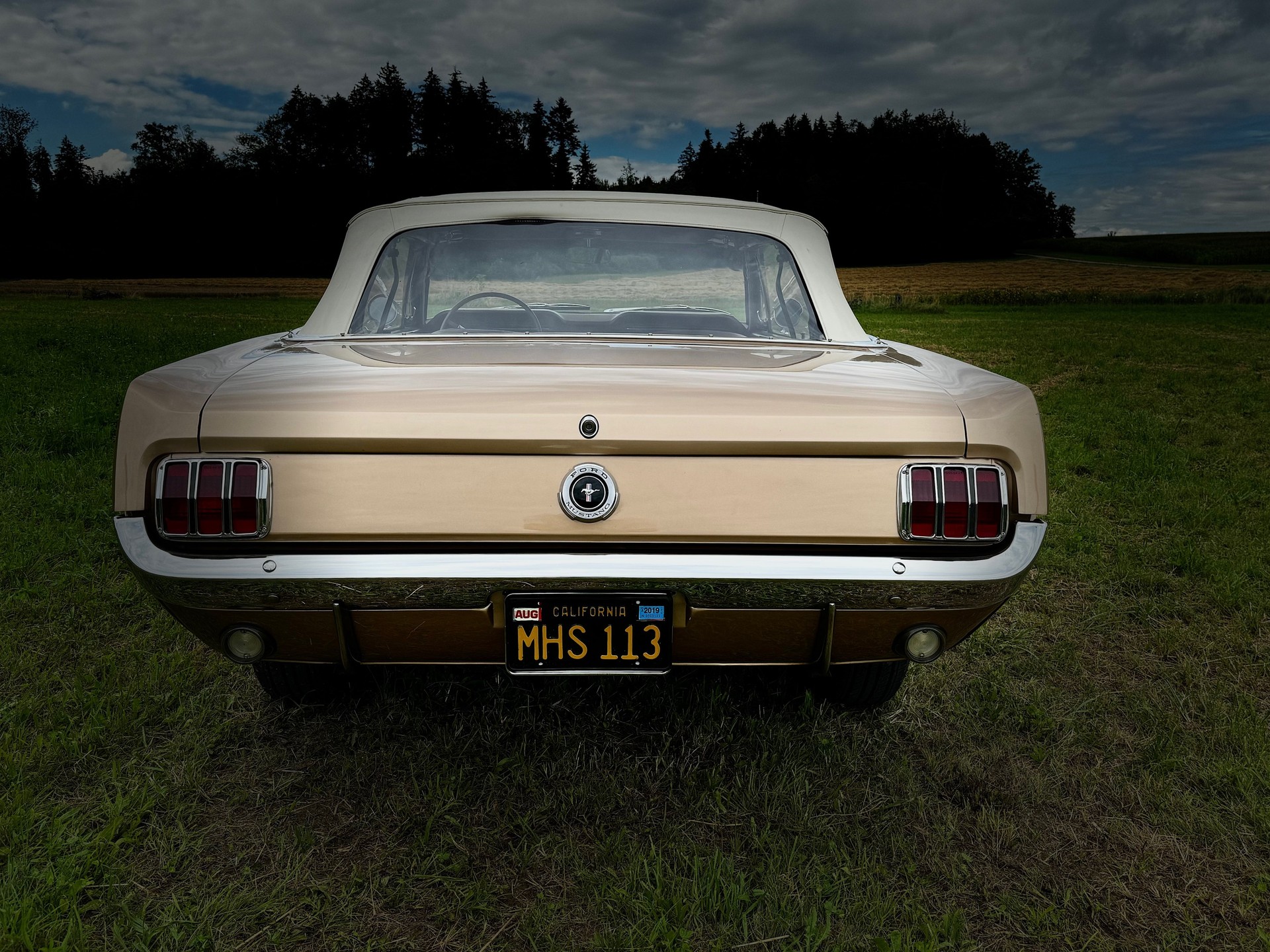 FORD MUSTANG-image-3