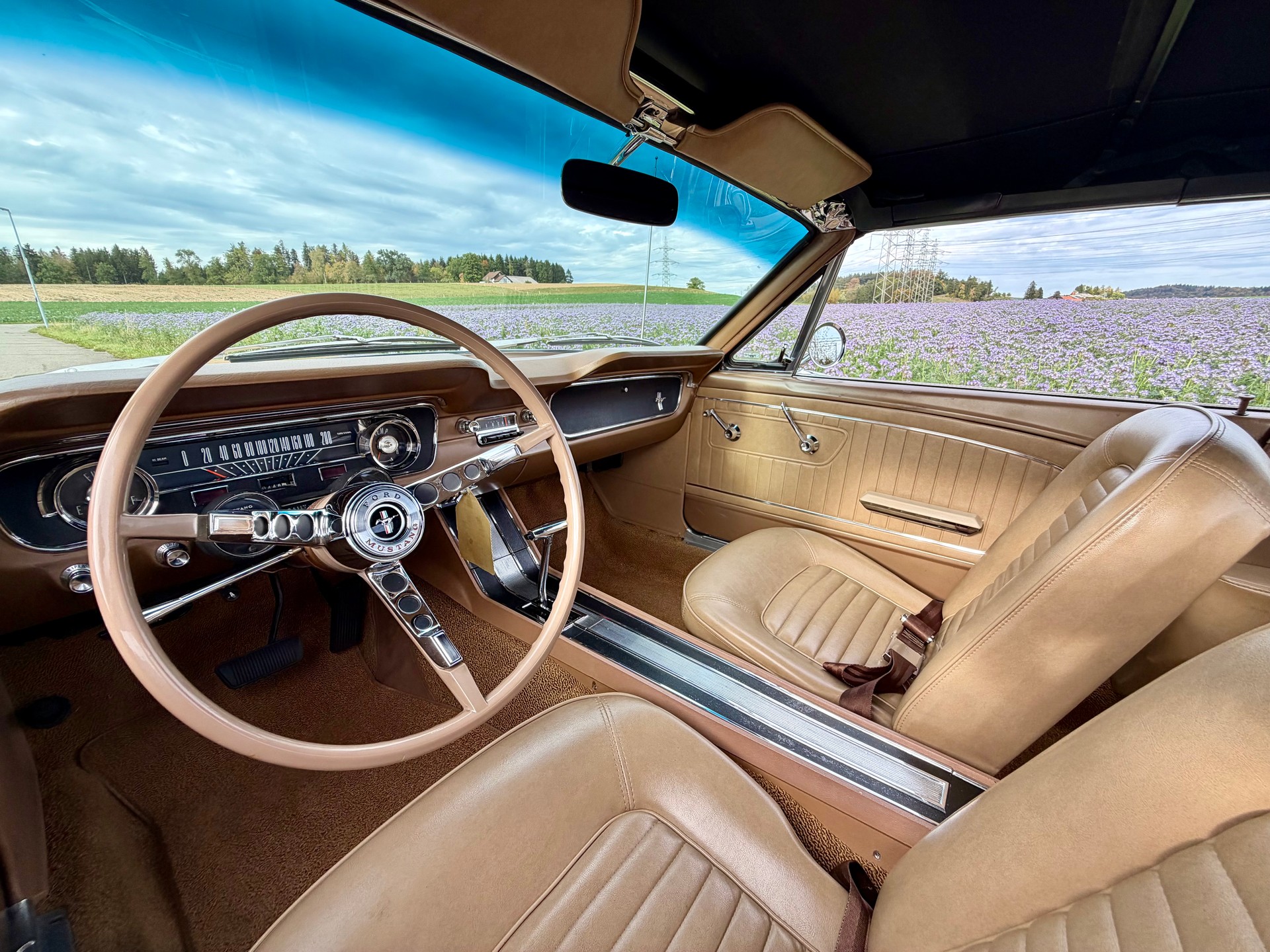FORD MUSTANG-image-7