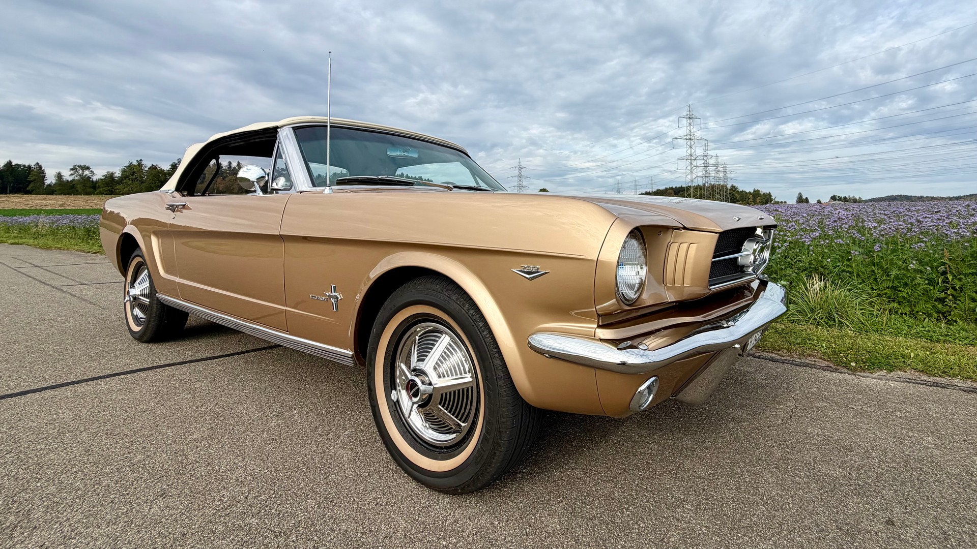 FORD MUSTANG-image-3