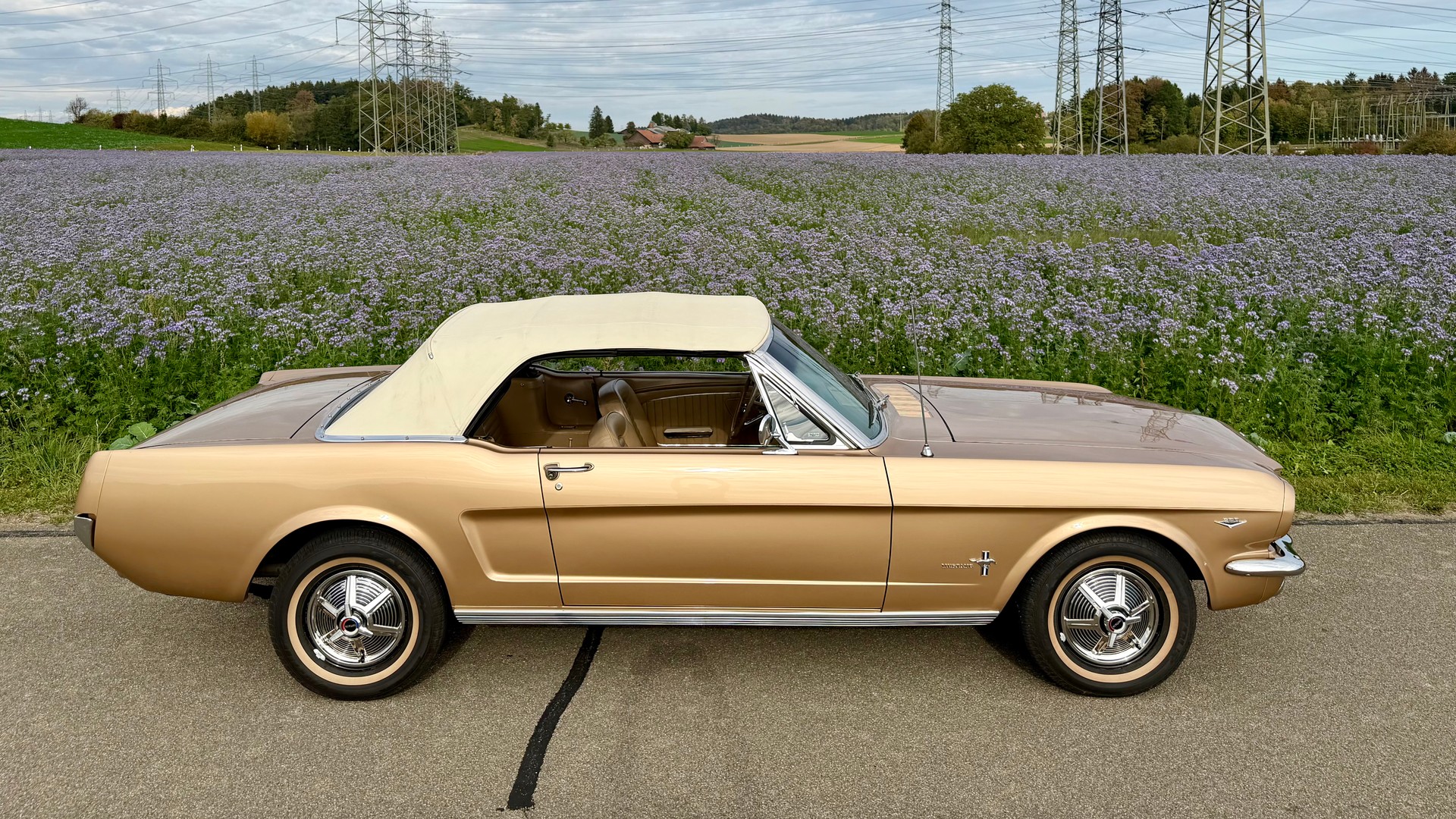 FORD MUSTANG-image-10