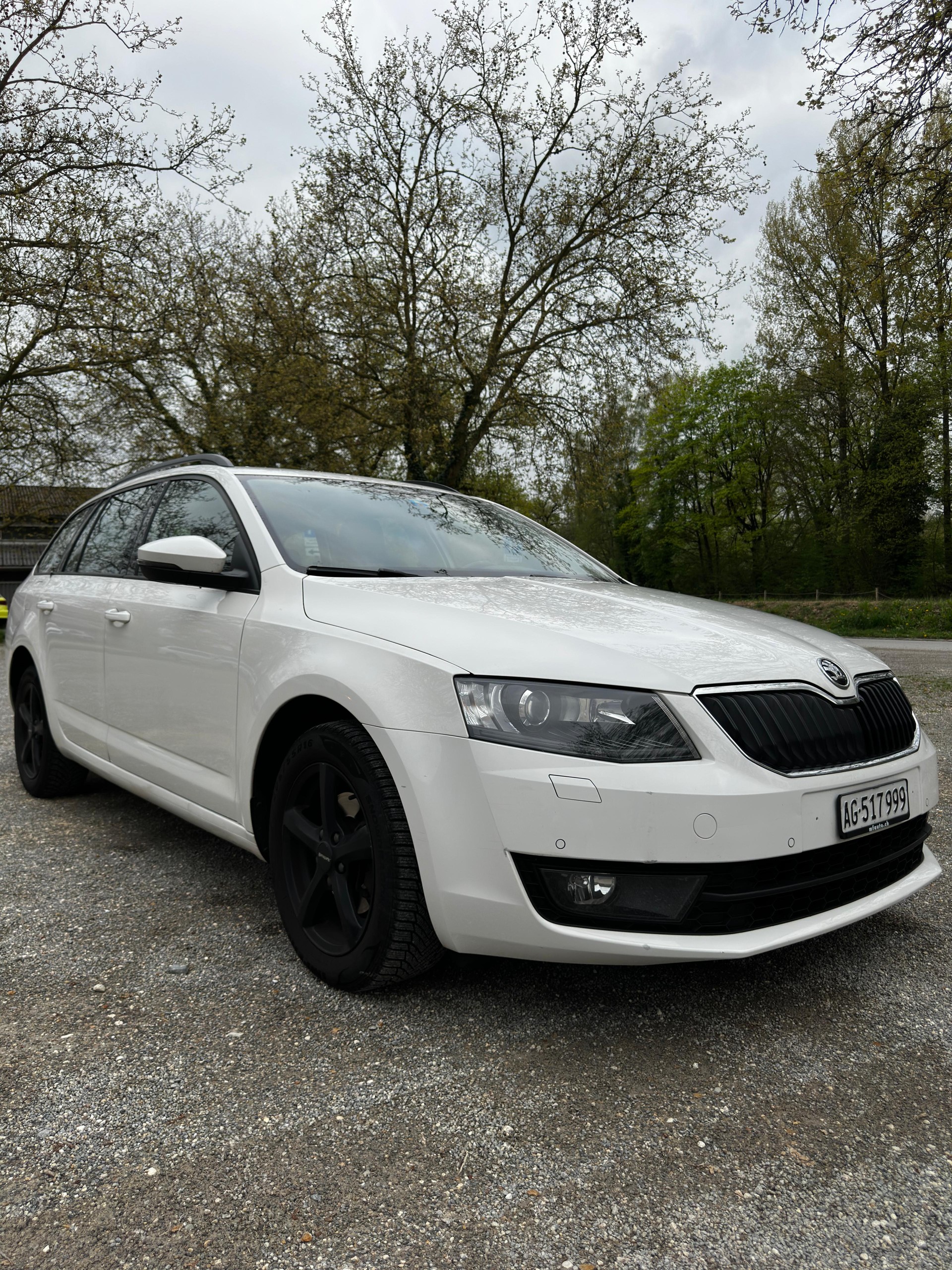 SKODA Octavia Combi 2.0 TDI Swiss Edition DSG