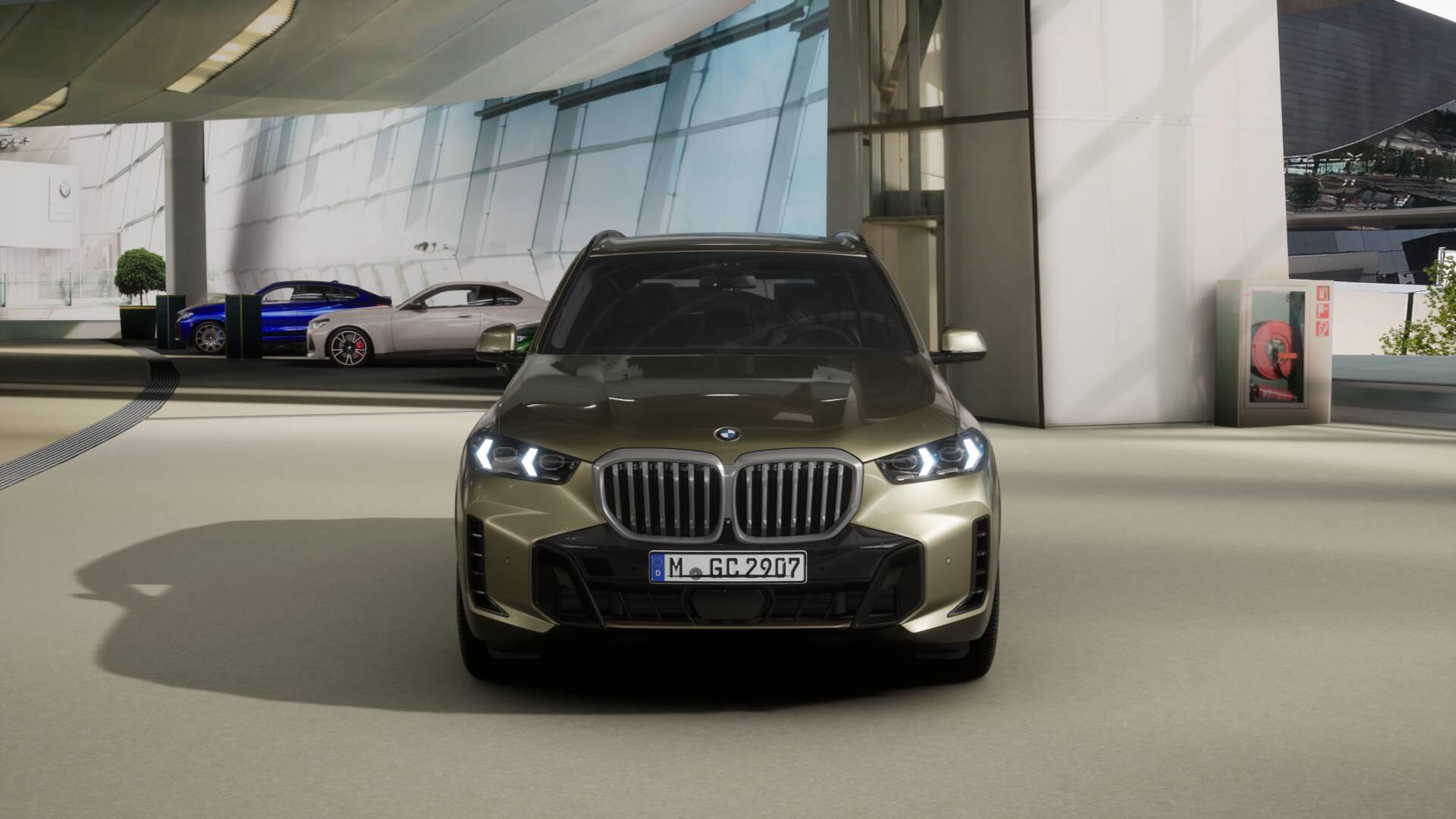 BMW X5 30d xDrive SAG-image-2