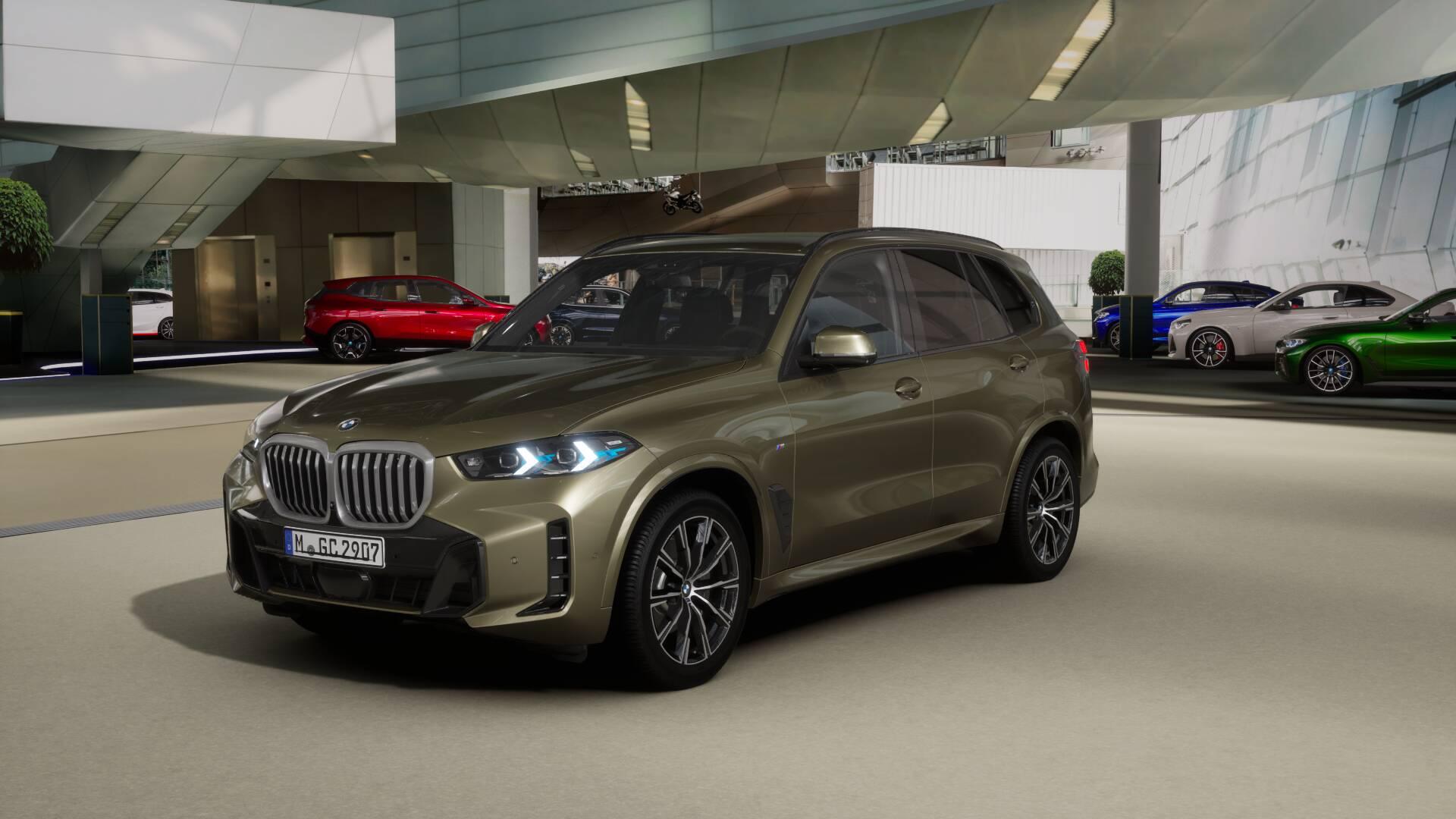 BMW X5 30d xDrive SAG-image-0