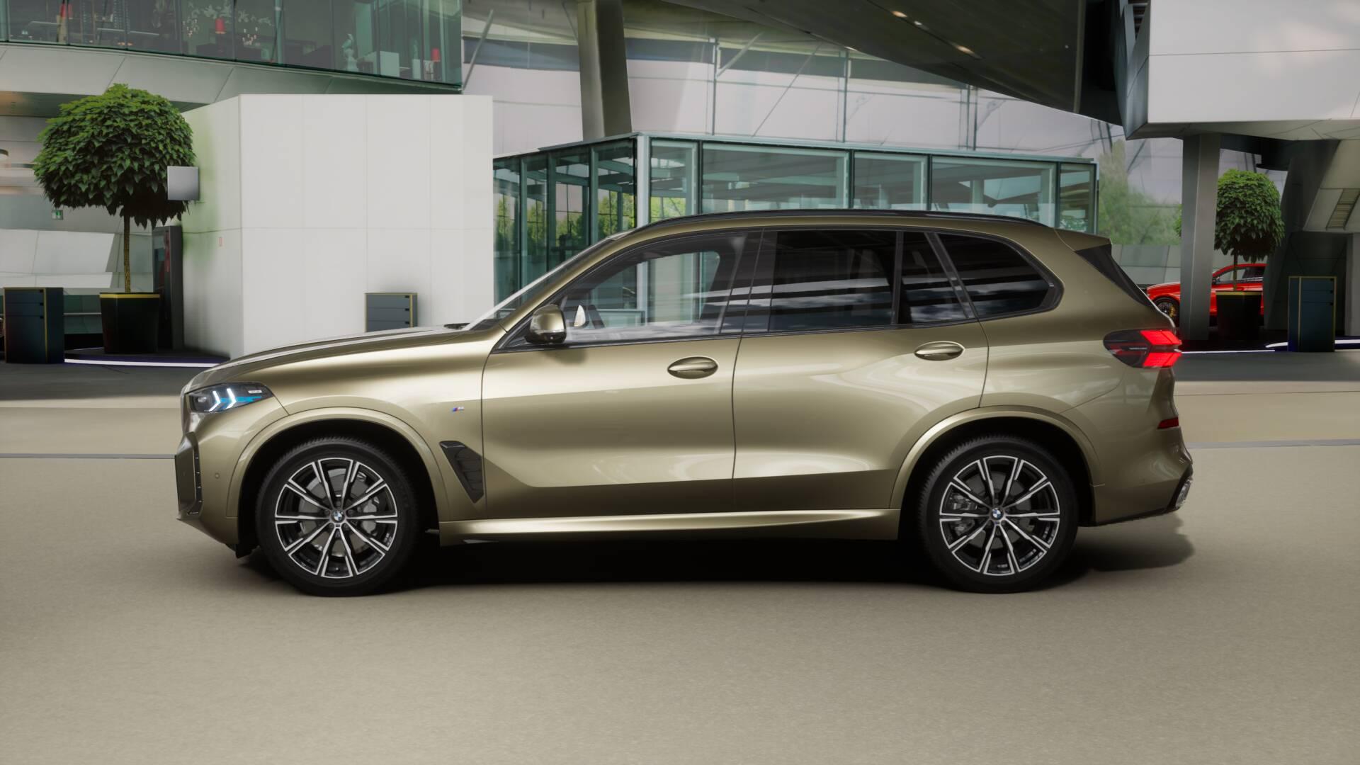 BMW X5 30d xDrive SAG-image-3