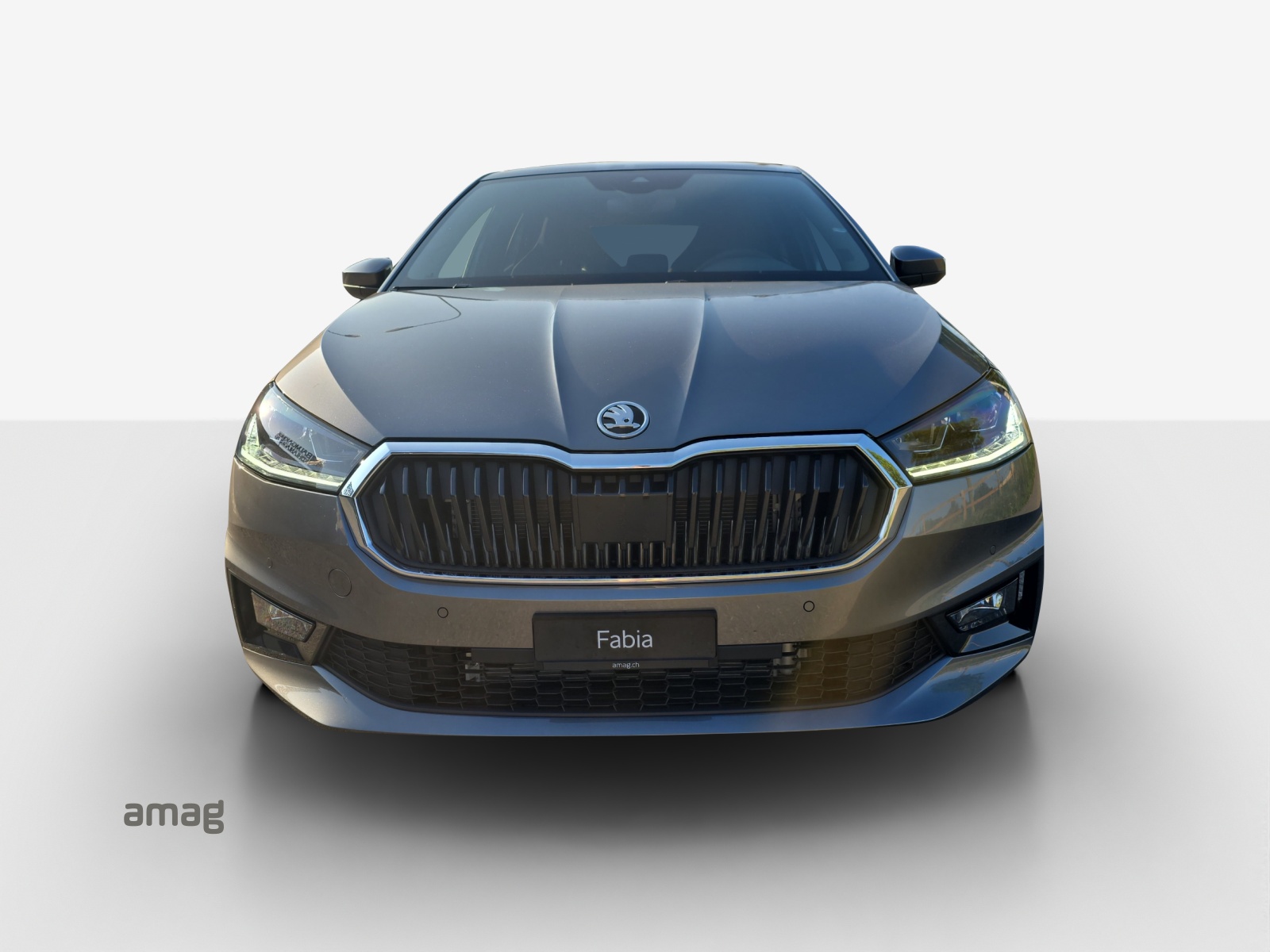 SKODA Fabia 1.5 TSI Dynamic DSG-image-6