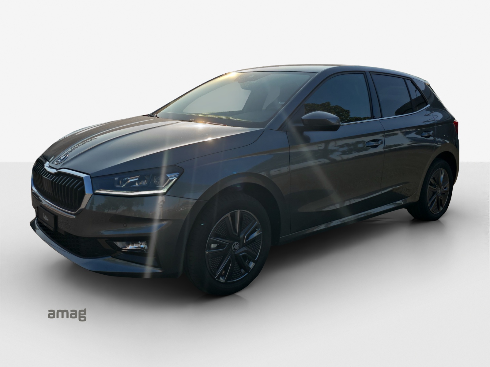 SKODA Fabia 1.5 TSI Dynamic DSG-image-0