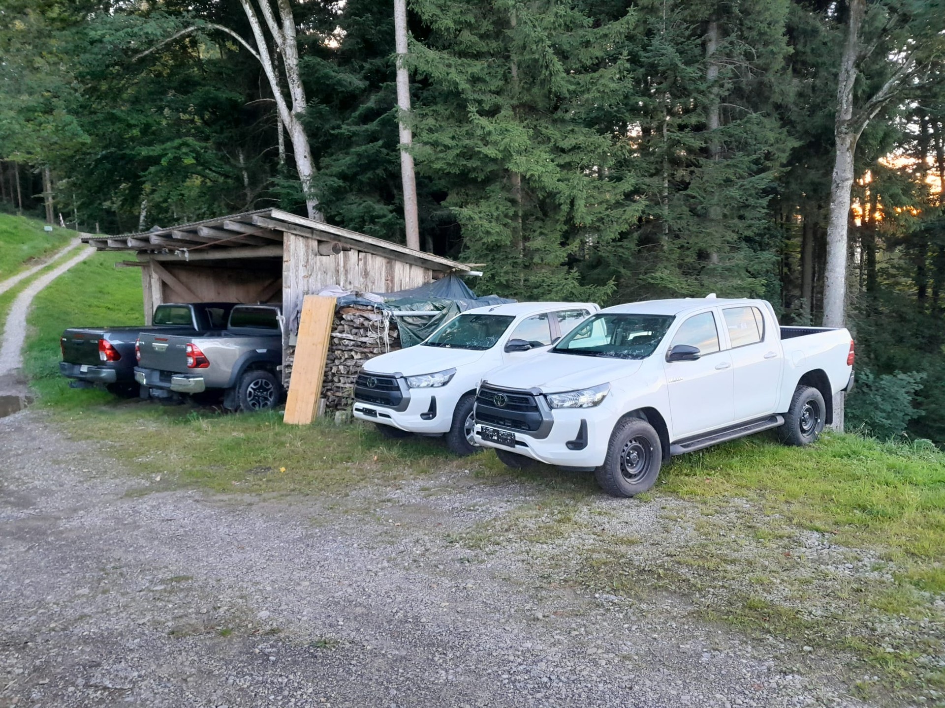 TOYOTA HI-LUX 2,8 DC 4x4 MHEV inkl. AHK 3,5 Tonnen + Wanne + CH Zustellung, Rostversiegelt.-image-15