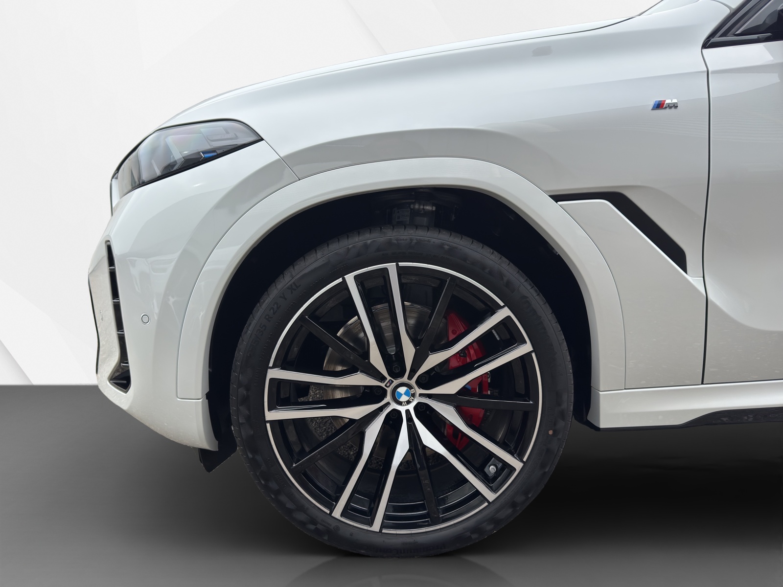 BMW X6 xDr 48V 30d M SportPro-image-10