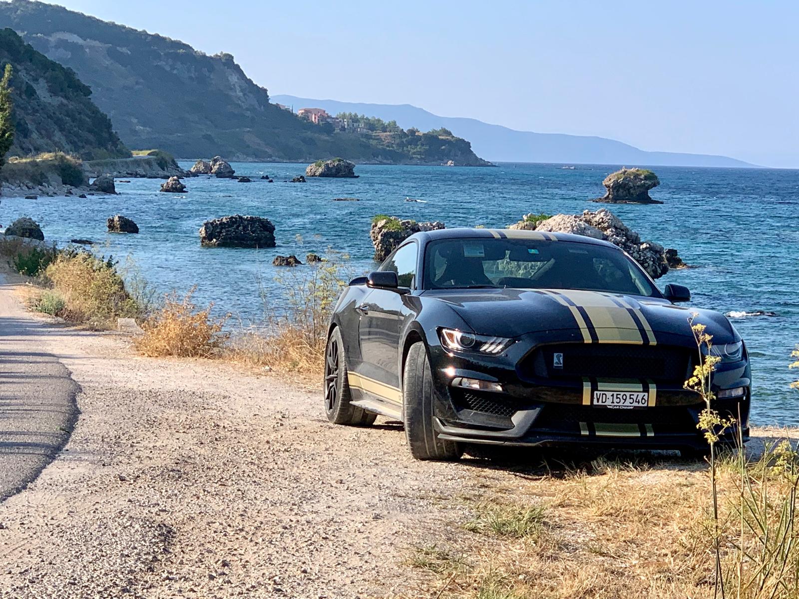 FORD Shelby-image-4