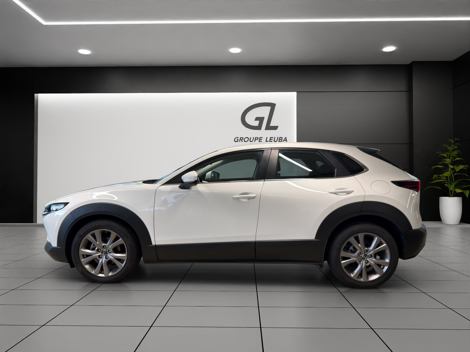Image MAZDA CX-30 CX-30 X 180 Ambition Plus