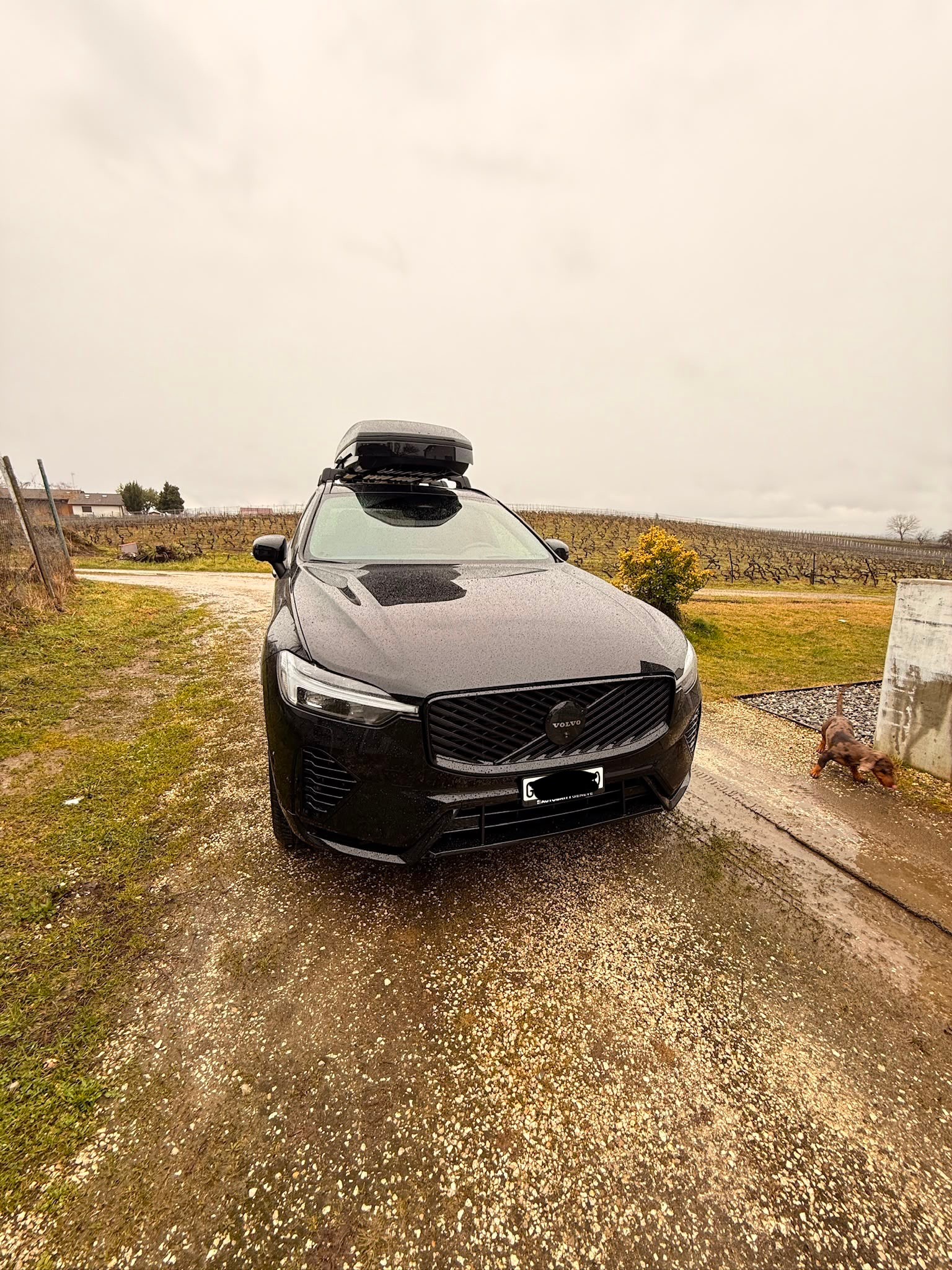 VOLVO 2.0 T6 TE Black Edition eAWD-image-0