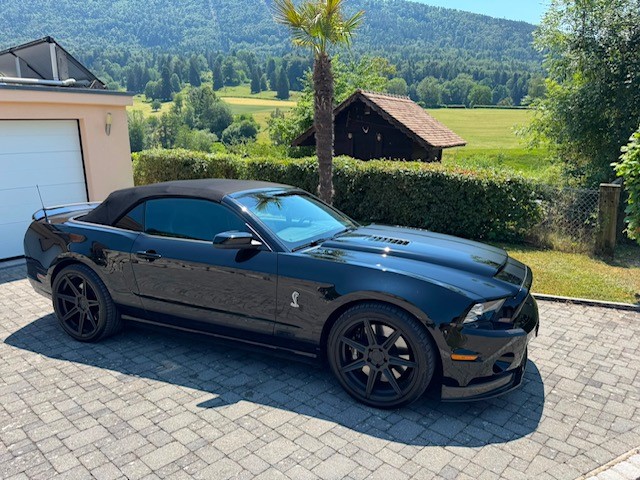 FORD Shelby GT 500-image-2