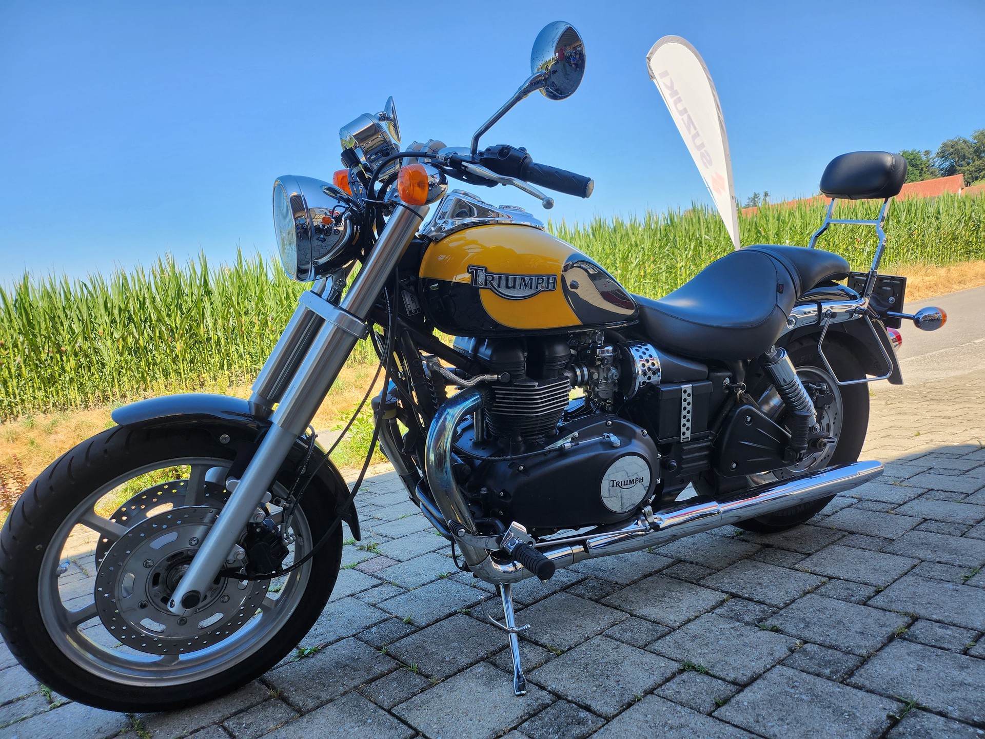 TRIUMPH Speedmaster 800-image-3