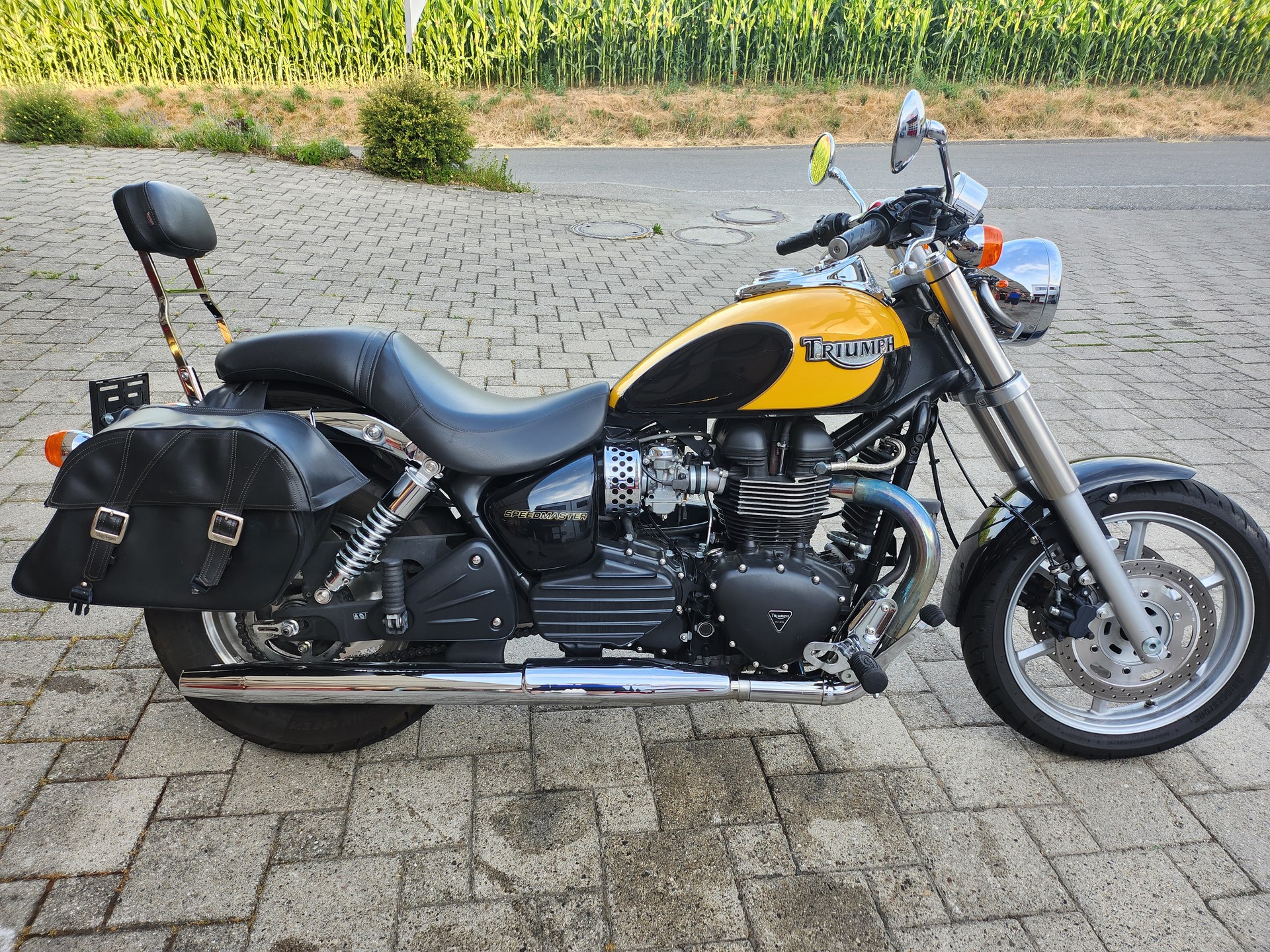 TRIUMPH Speedmaster 800