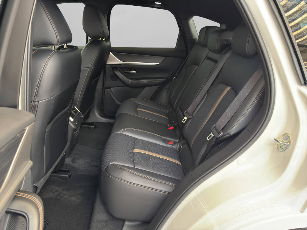 MAZDA CX-60 3.3 D Homura Plus-image-7