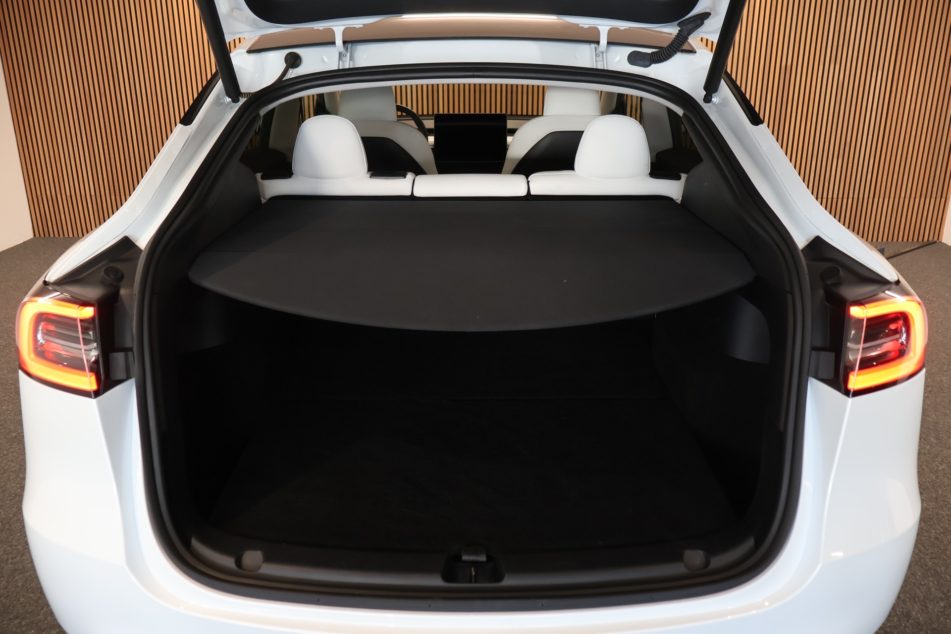 TESLA Model Y Long Range-image-12