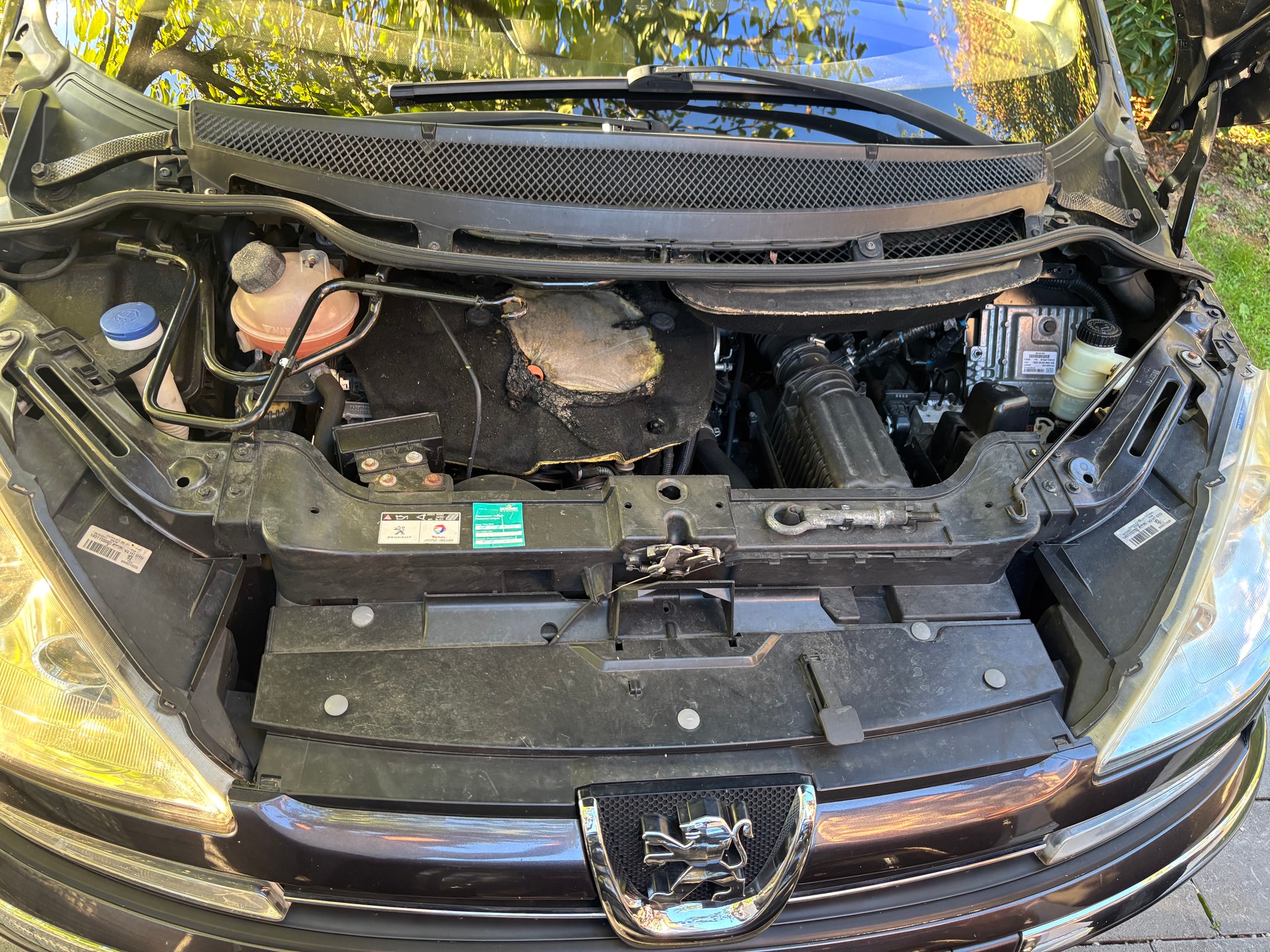 PEUGEOT 807 2.0 16V HDi Allure-image-12