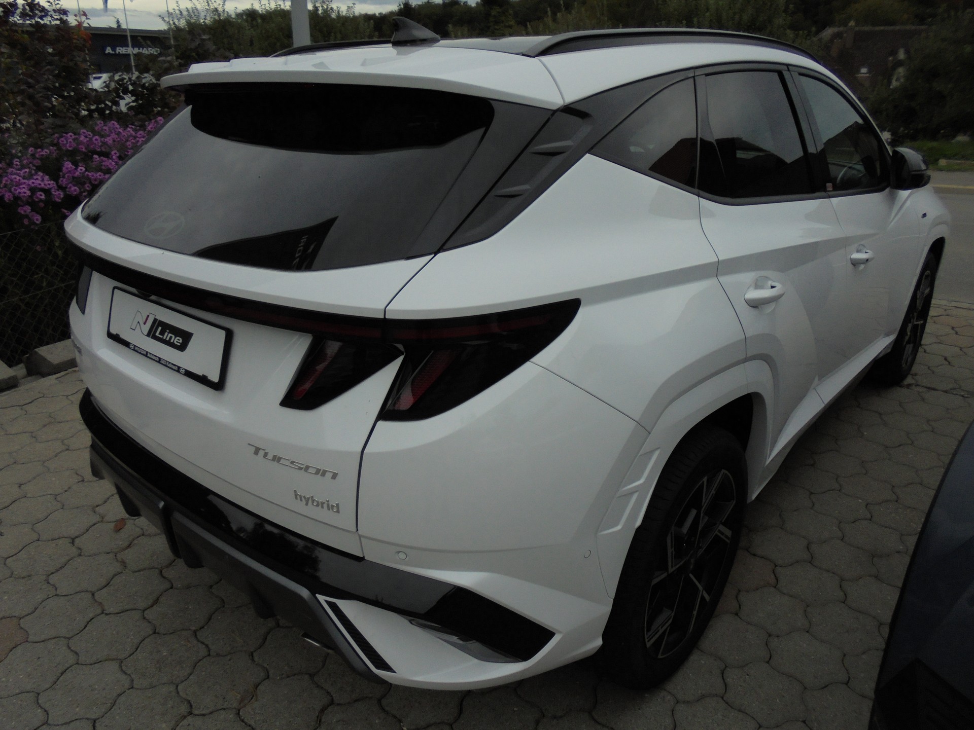 HYUNDAI Tucson 1.6 TGDI HEV N Line LUX pack 4WD-image-5
