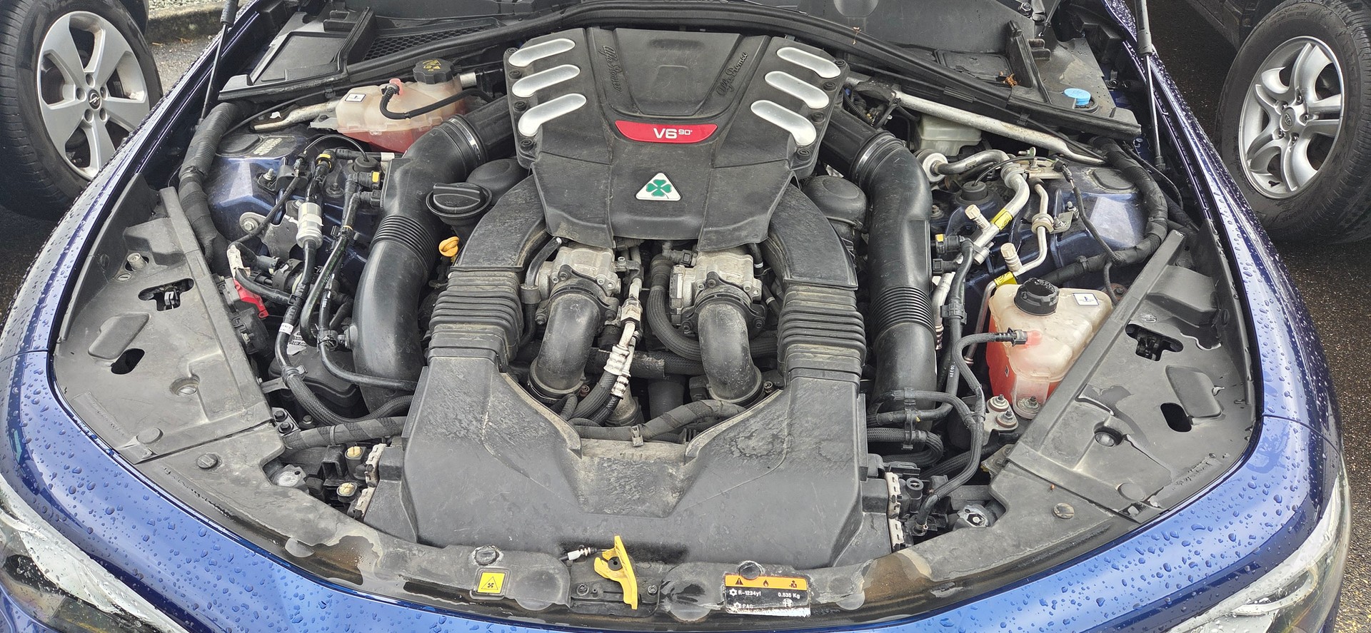 ALFA ROMEO 2.9 V6 Biturbo Quadrifoglio-image-2