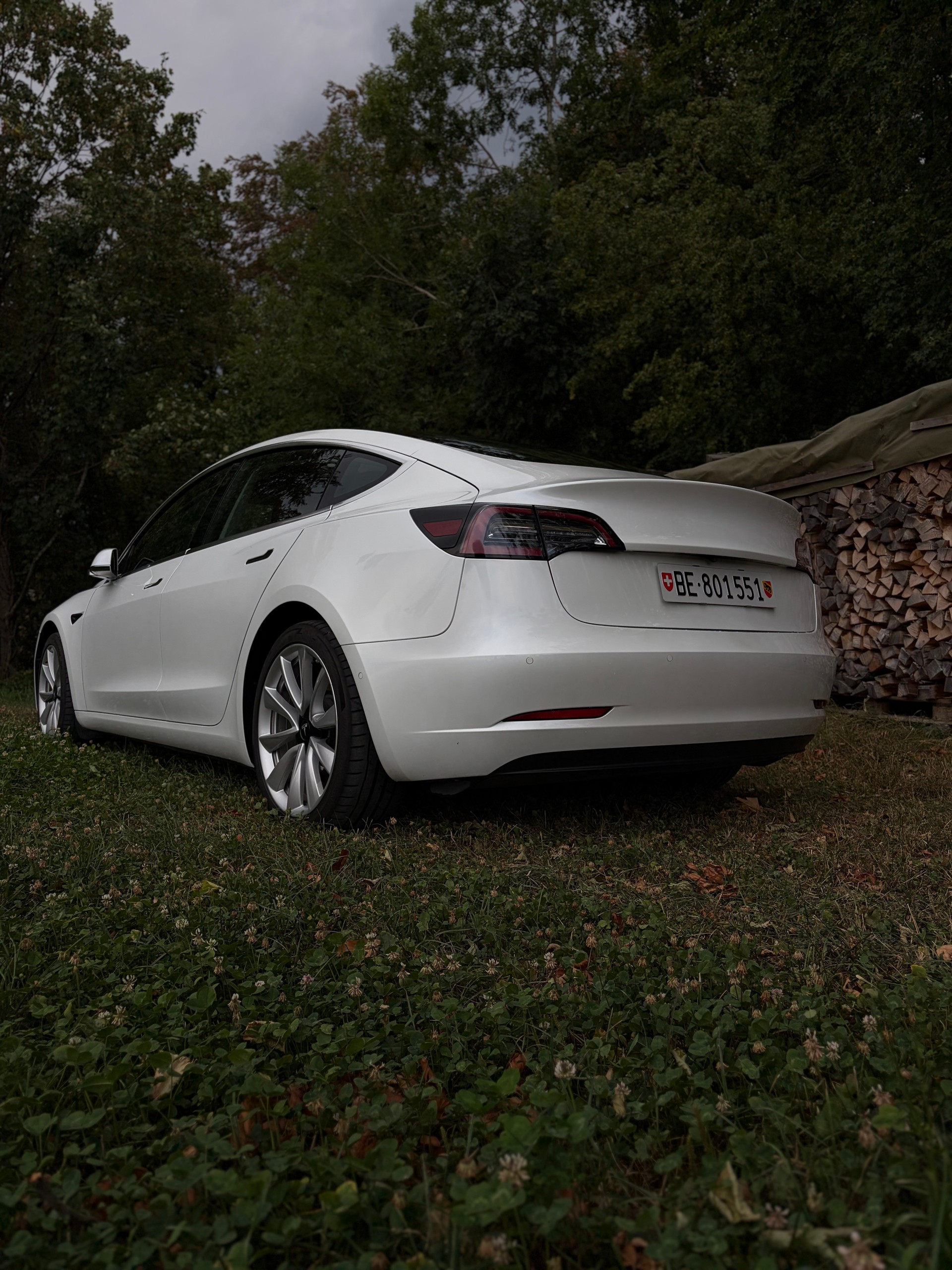 TESLA Long Range D-image-2