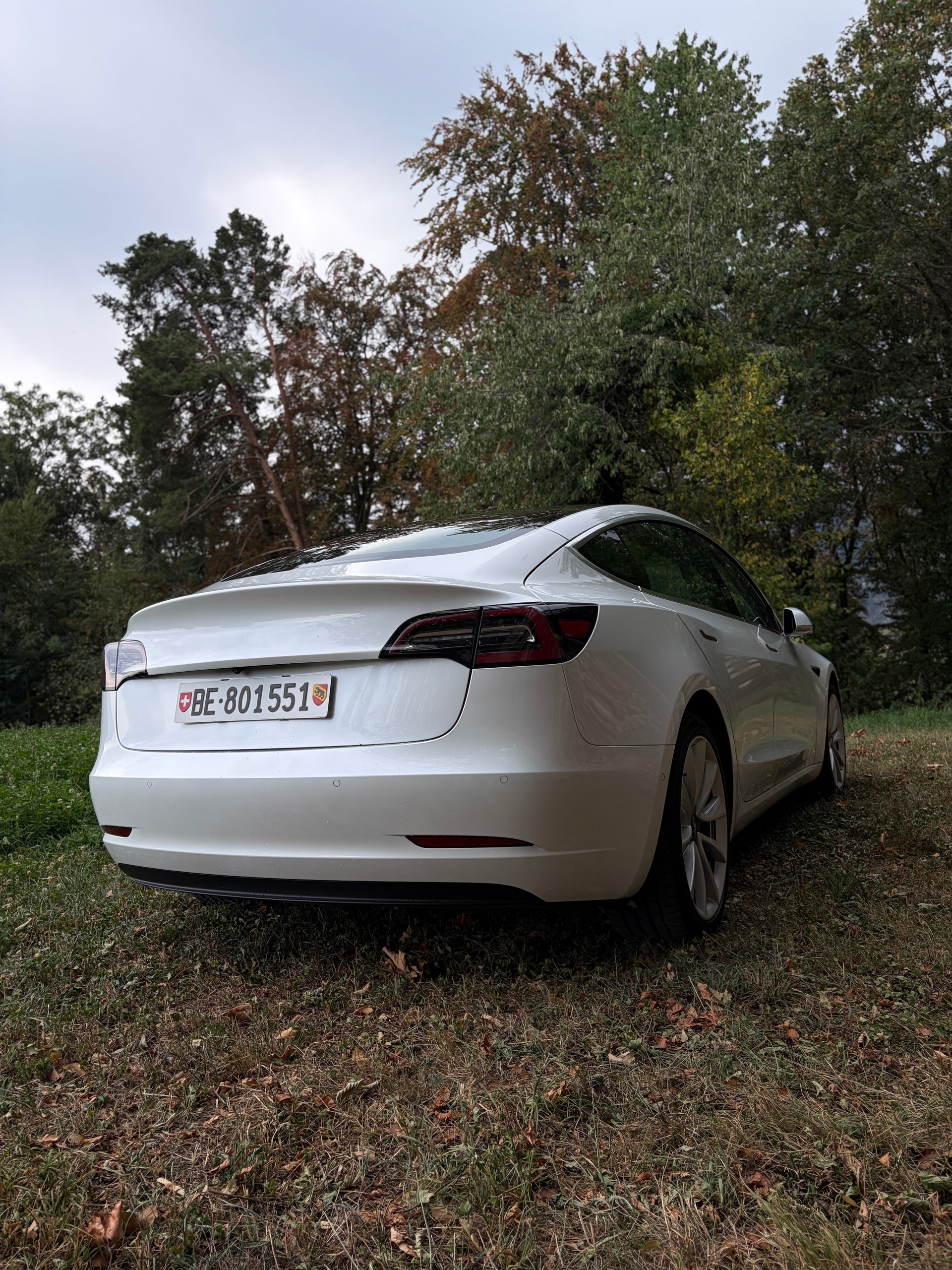 TESLA Long Range D-image-4