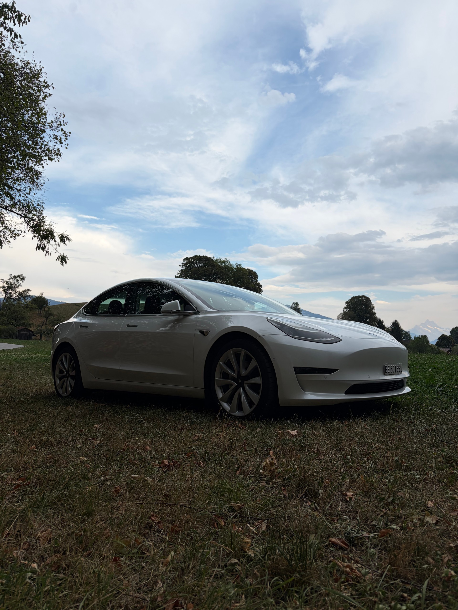 TESLA Long Range D-image-3